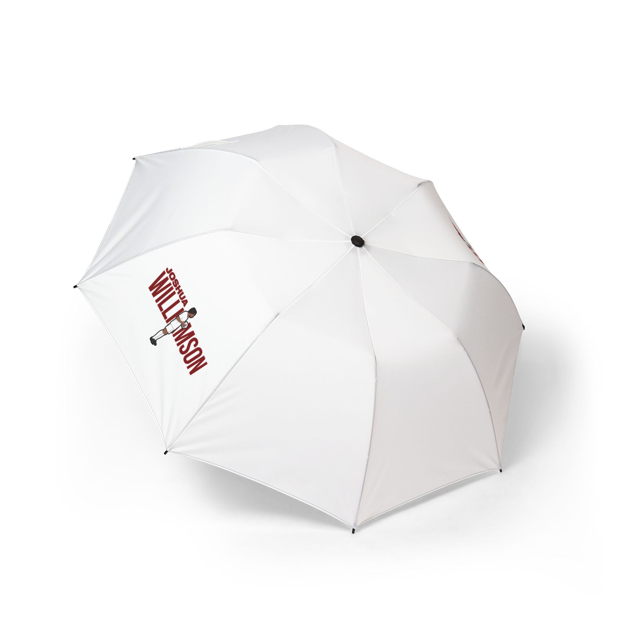 Foldable Umbrella — character_player_name in Classic