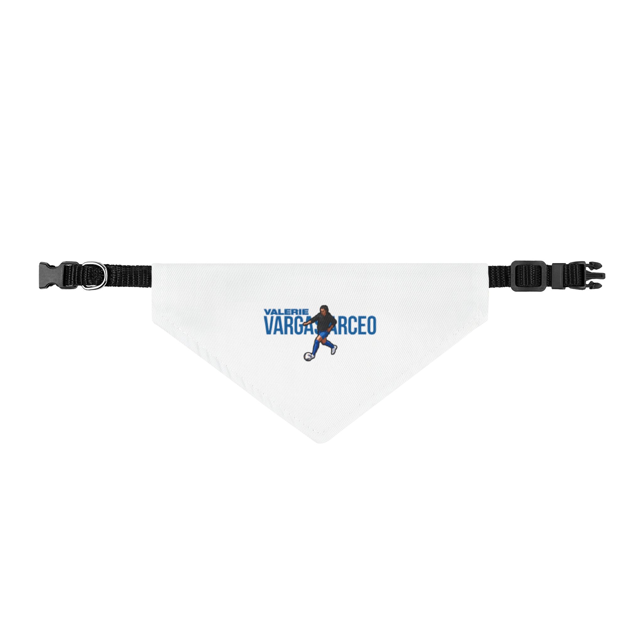 Pet Bandana — character_player_name in Classic