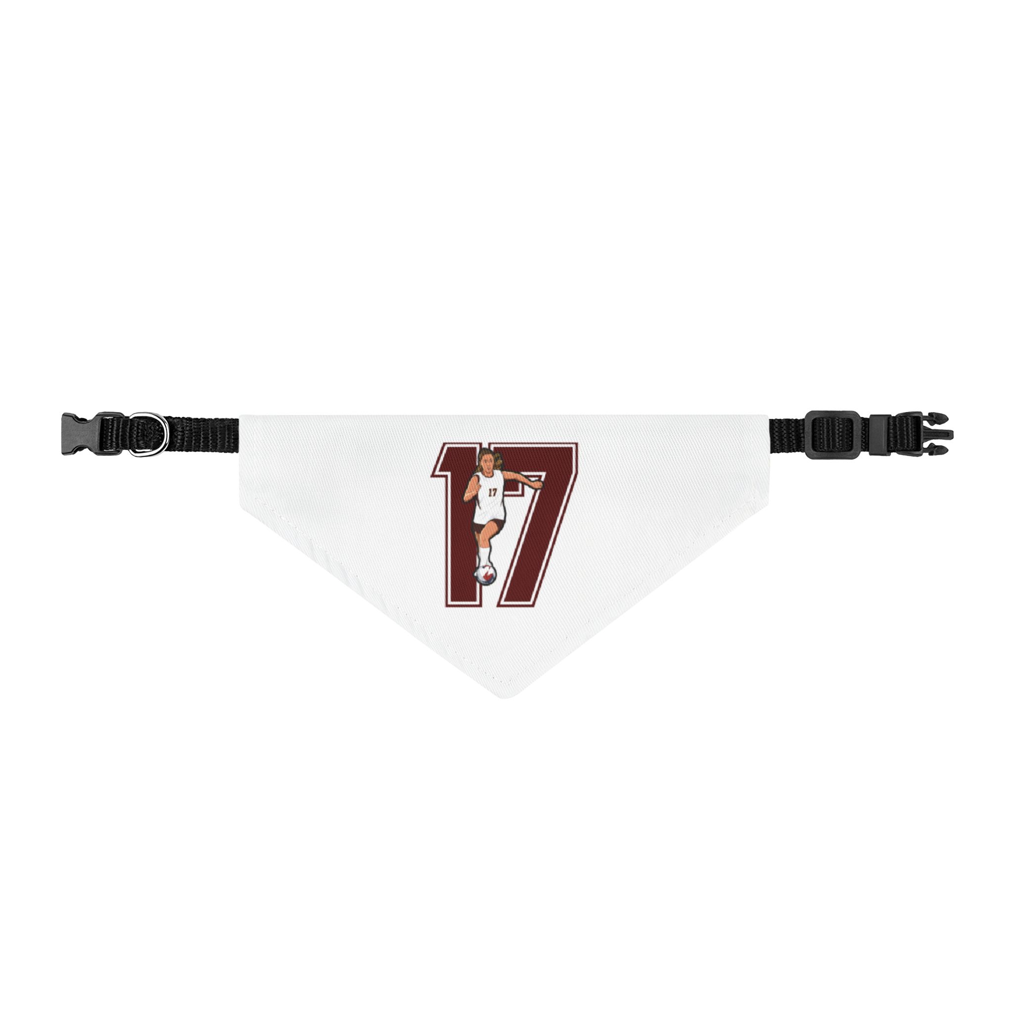 Pet Bandana — character_number in Classic