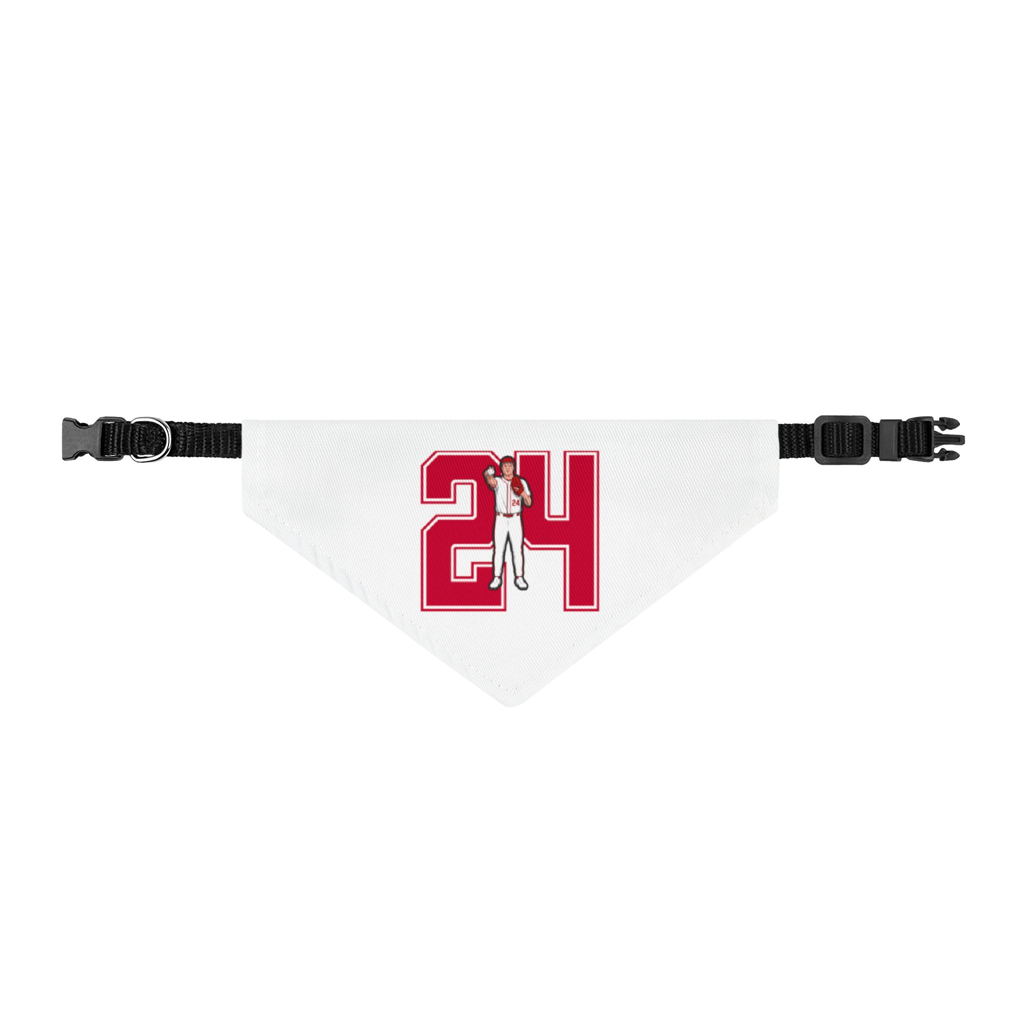 Pet Bandana — character_number in Classic