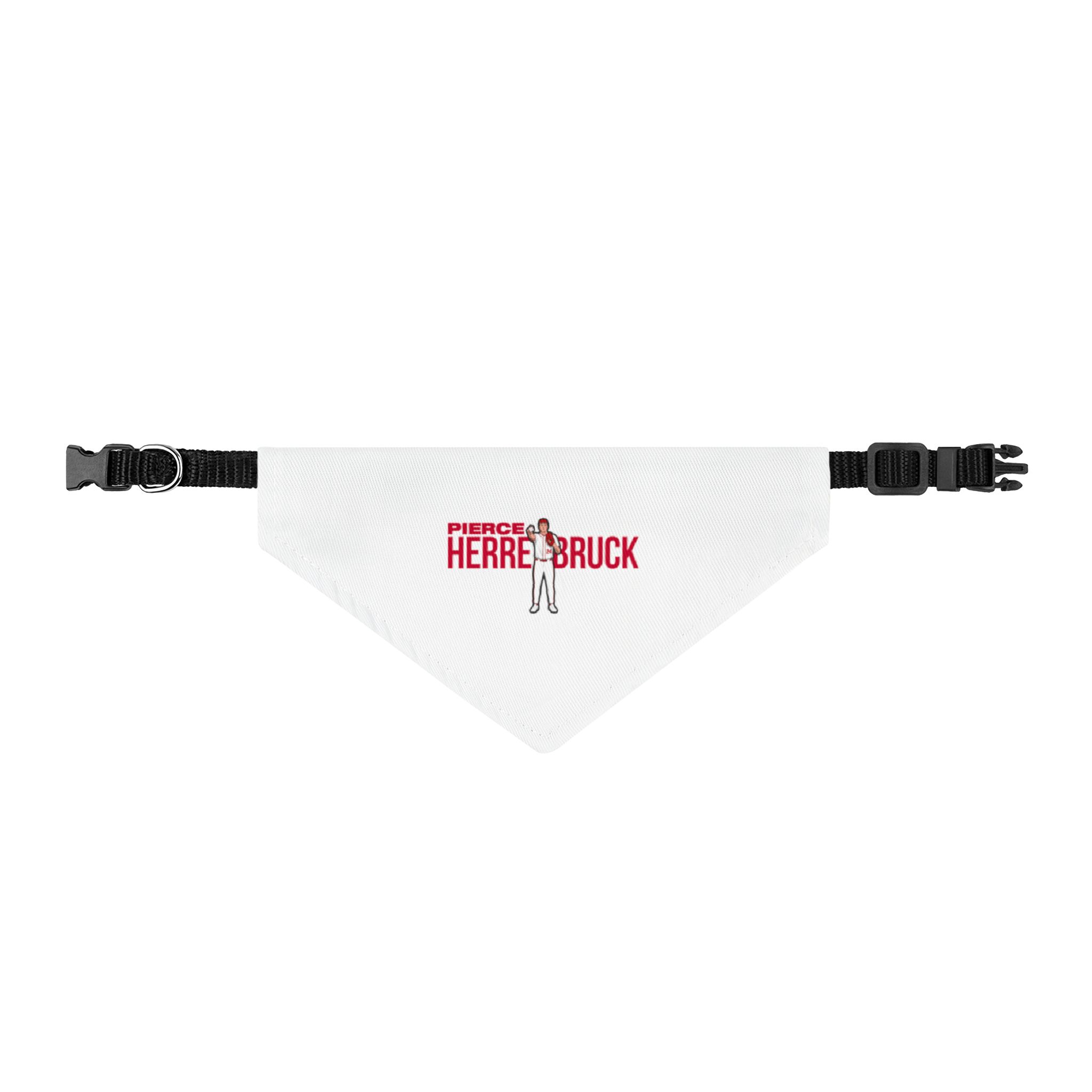 Pet Bandana — character_player_name in Classic