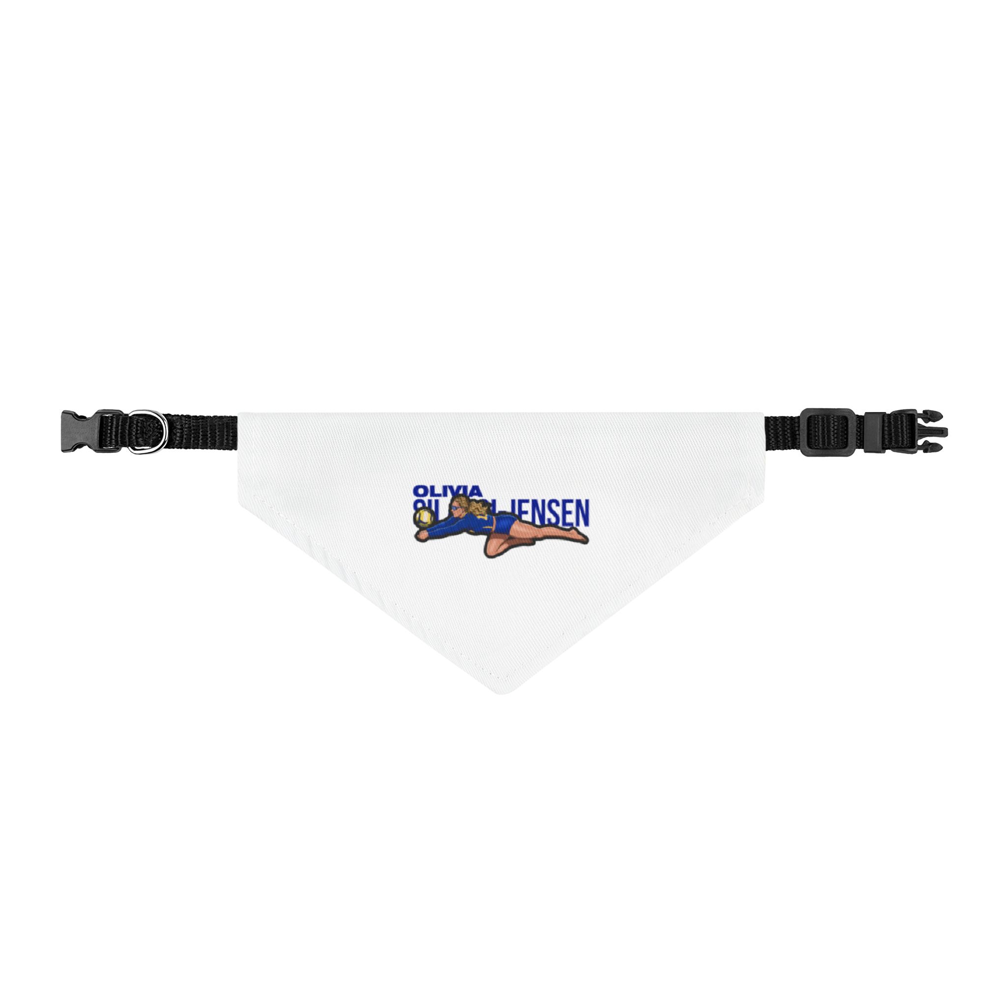 Pet Bandana — character_player_name in Classic