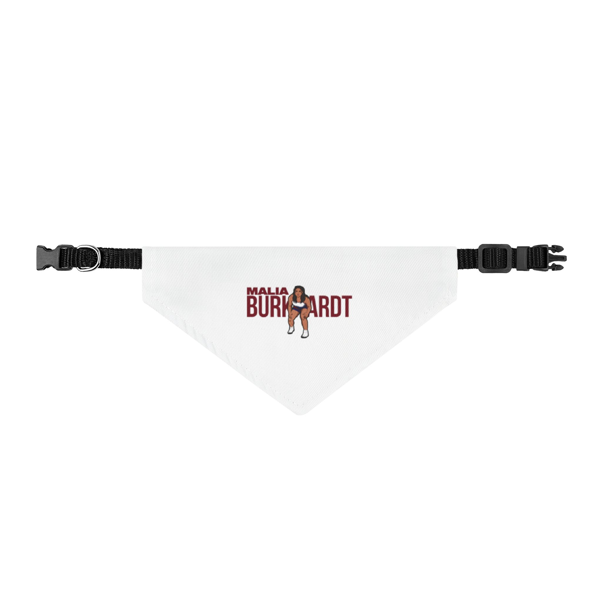Pet Bandana — character_player_name in Classic