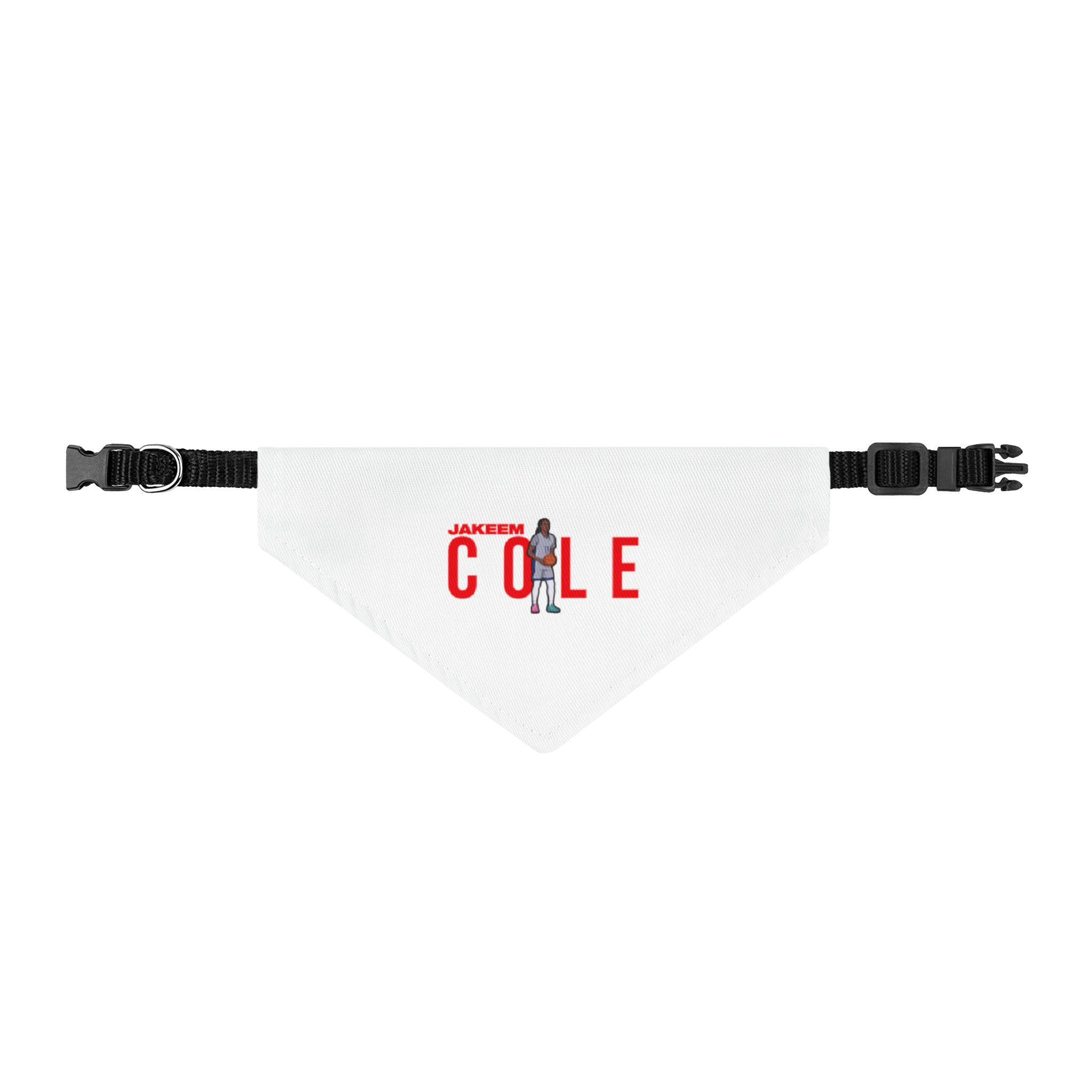 Pet Bandana — character_player_name in Classic