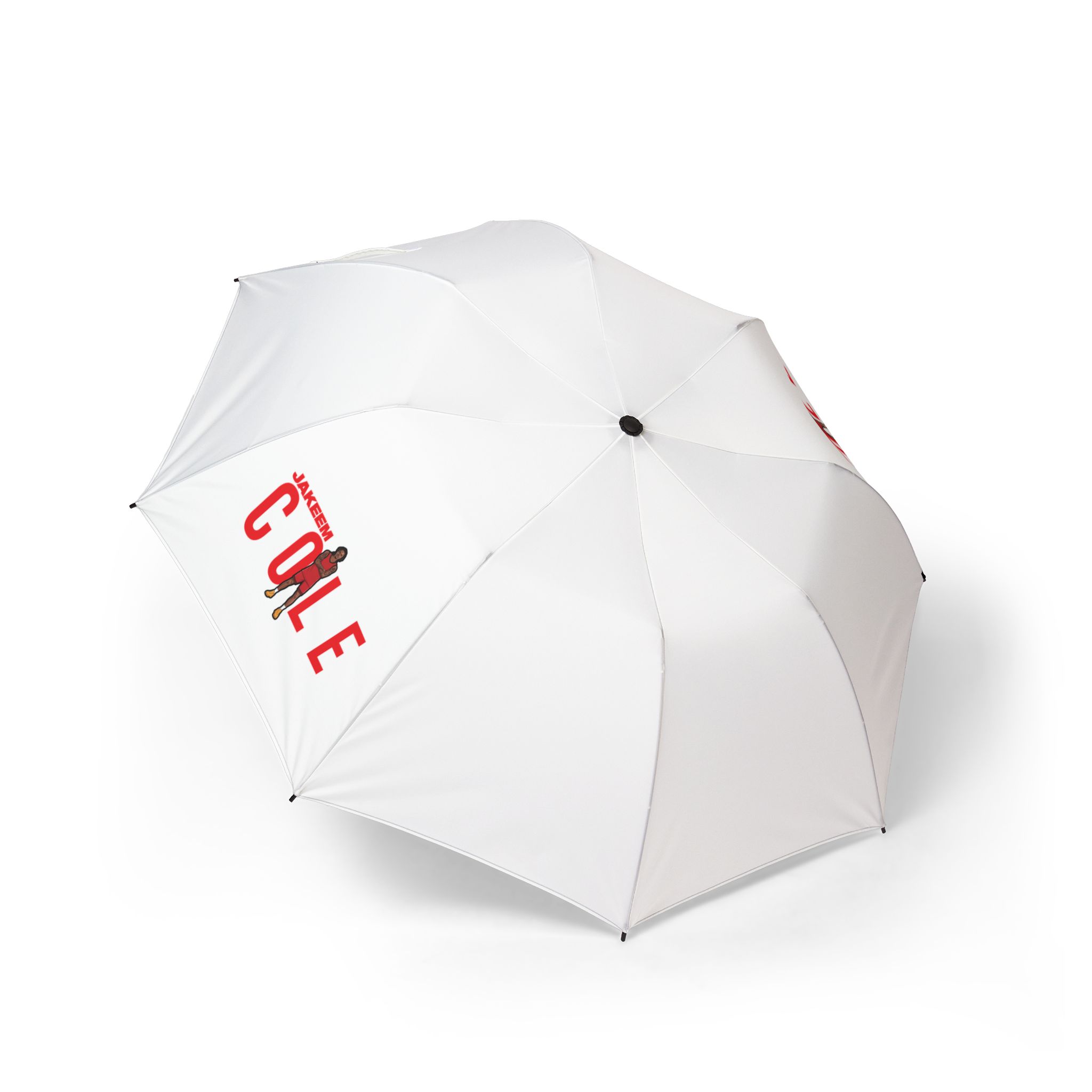 Foldable Umbrella — character_player_name in Classic