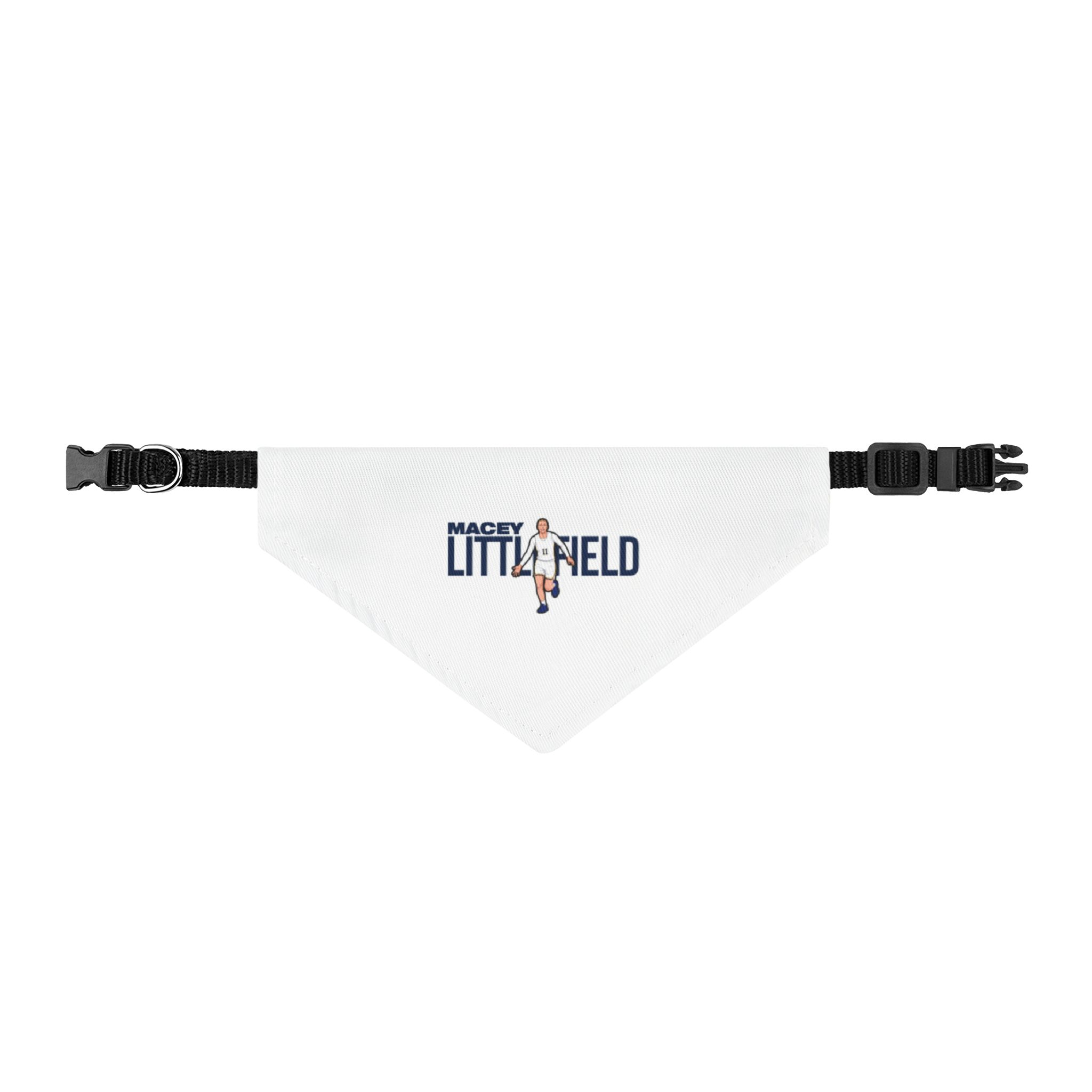 Pet Bandana — character_player_name in Classic