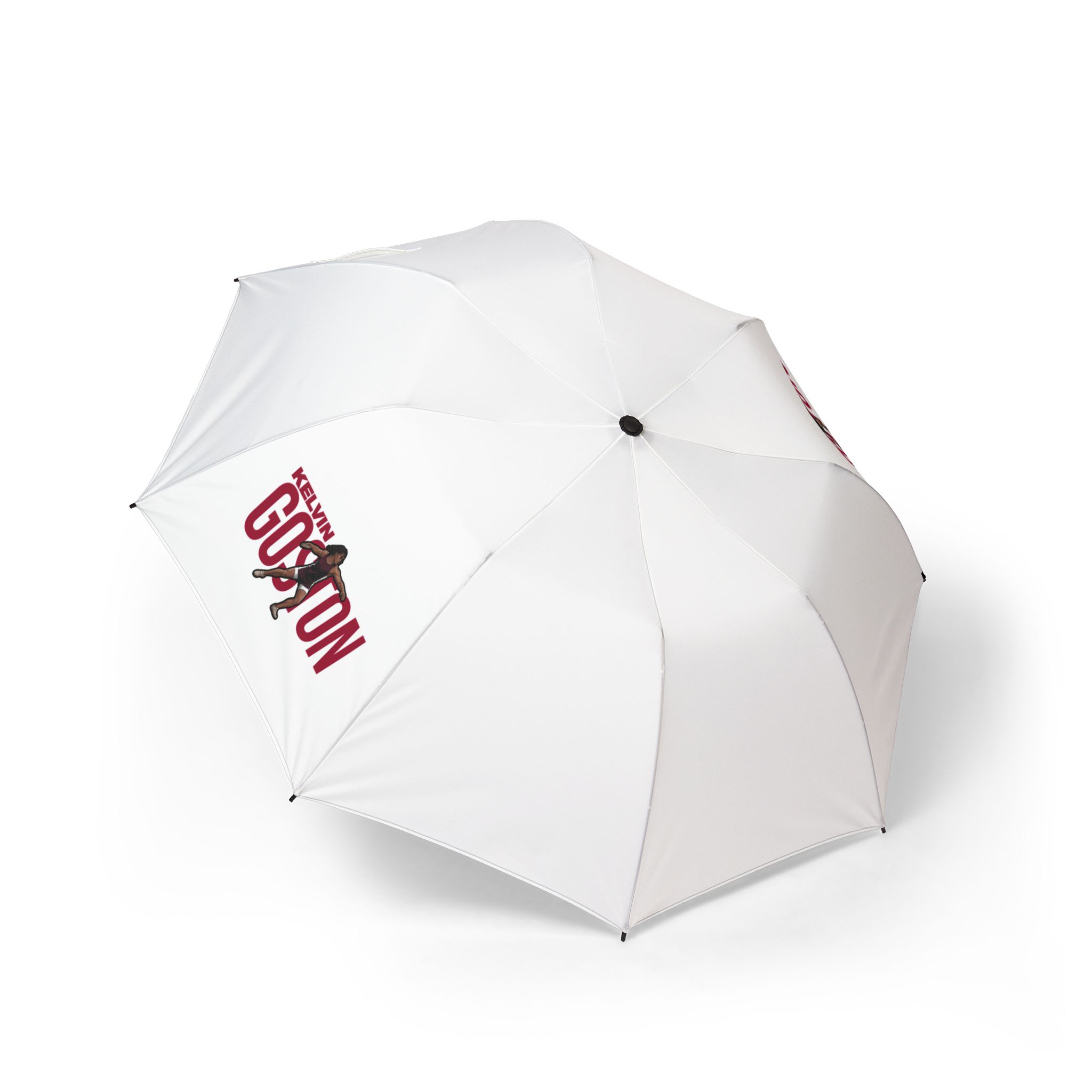 Foldable Umbrella — character_player_name in Classic