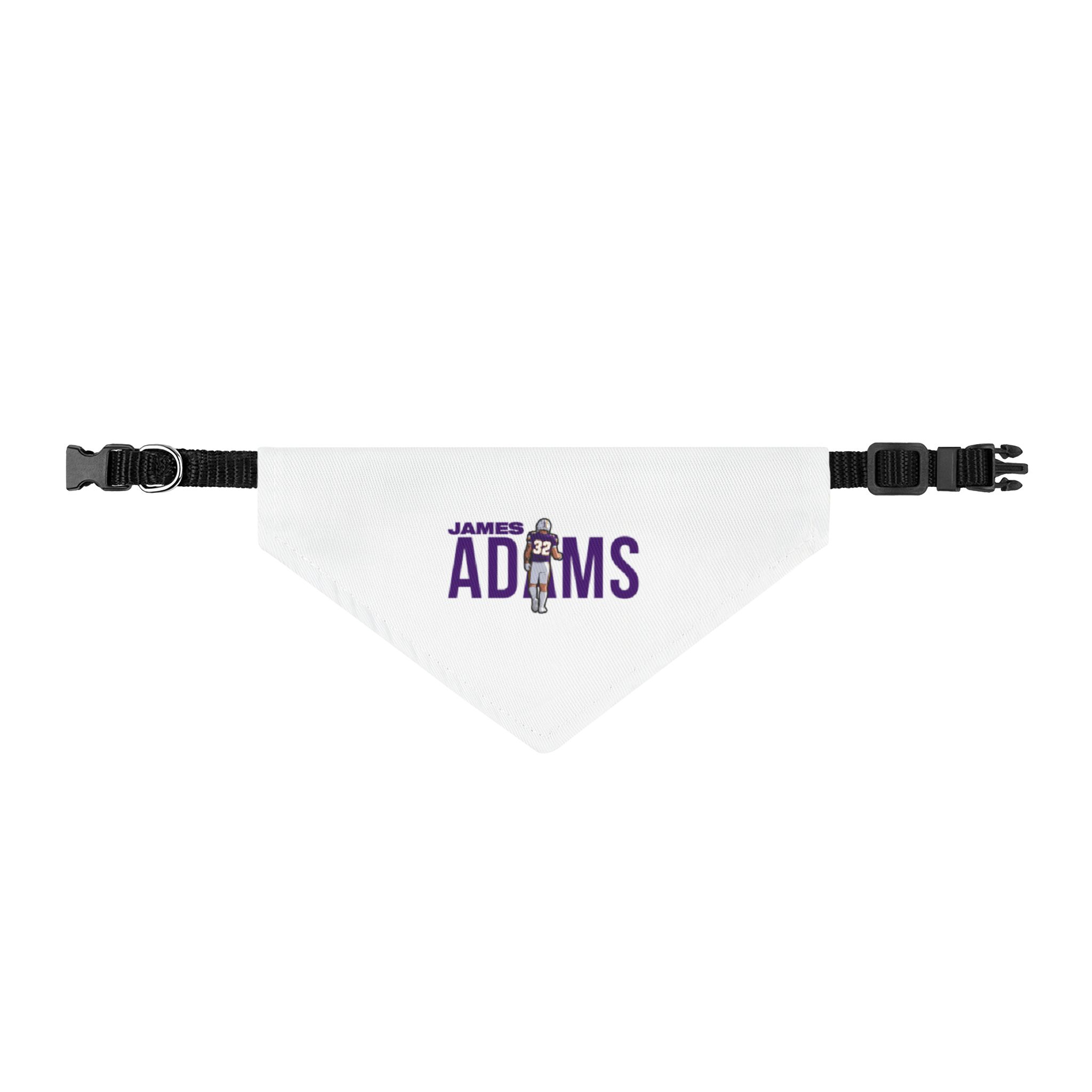 Pet Bandana — character_player_name in Classic