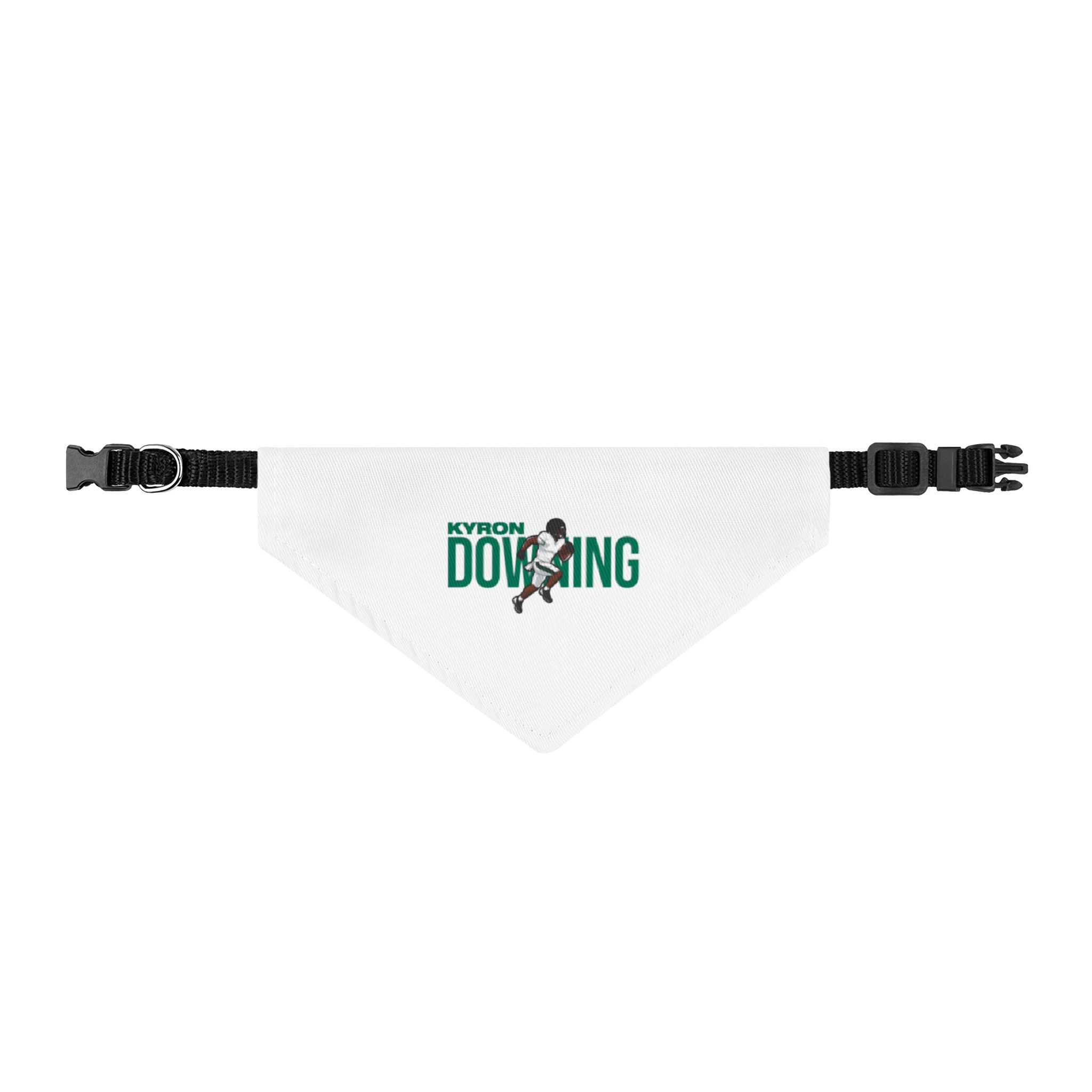 Pet Bandana — character_player_name in Classic