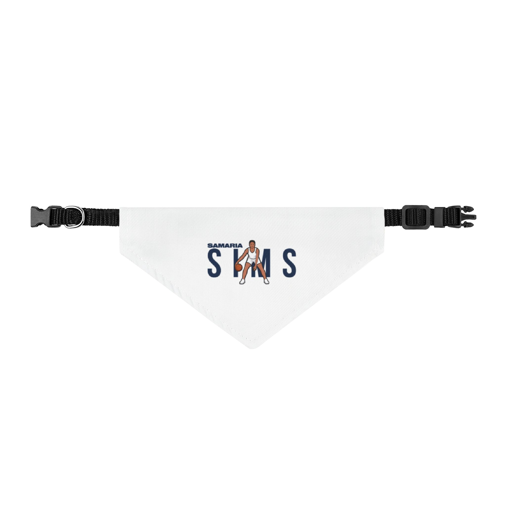 Pet Bandana — character_player_name in Classic