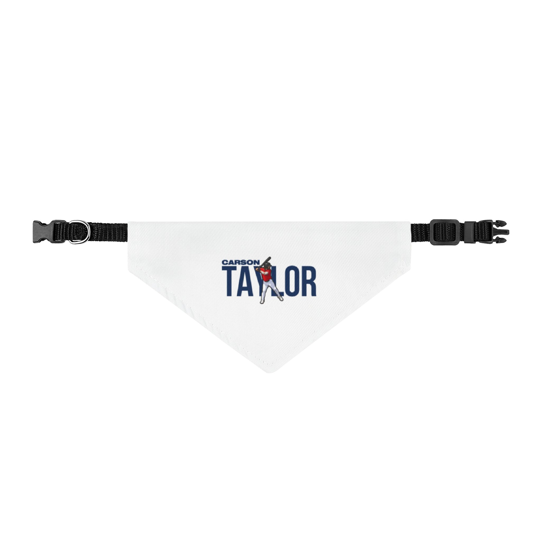 Pet Bandana — character_player_name in Classic