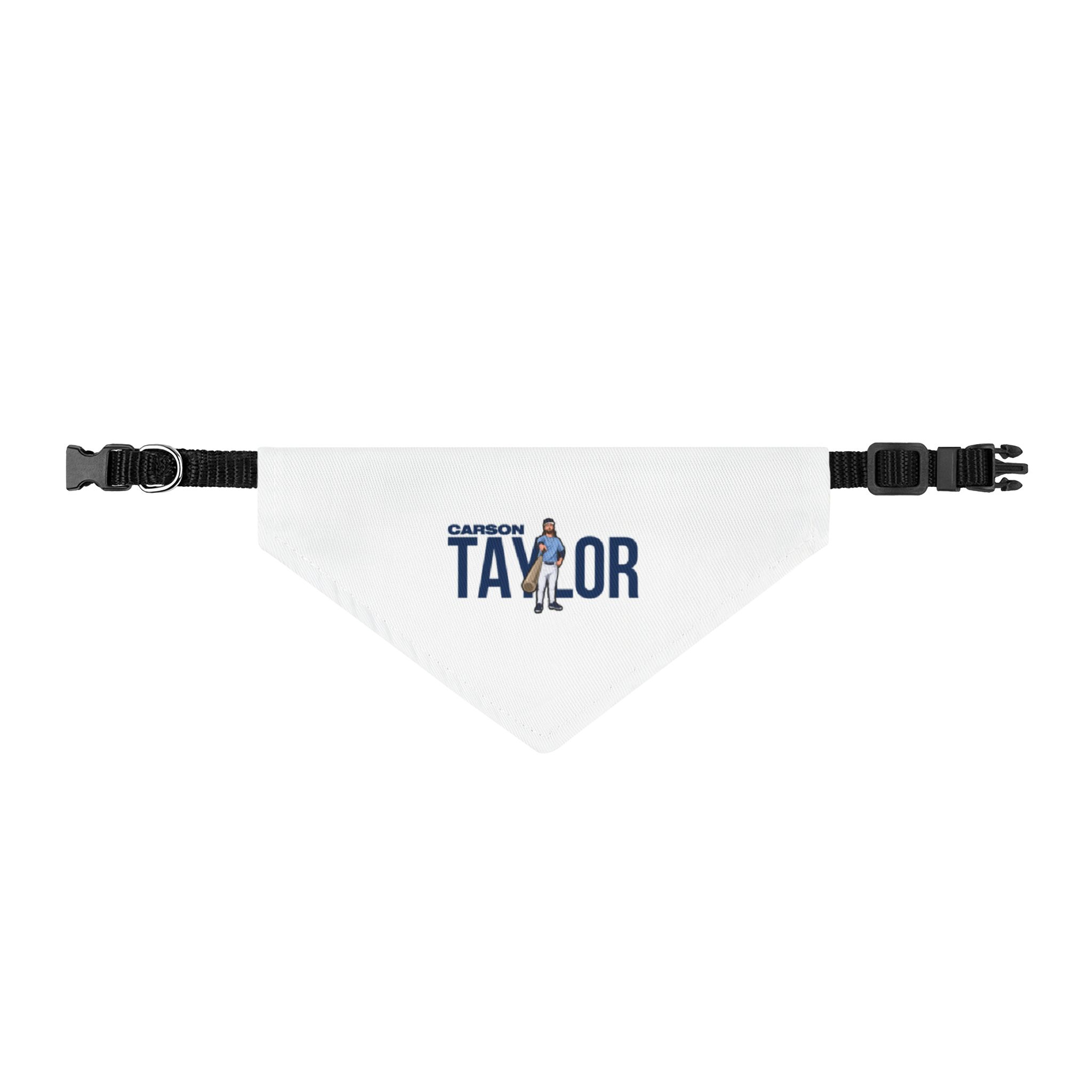Pet Bandana — character_player_name in Classic