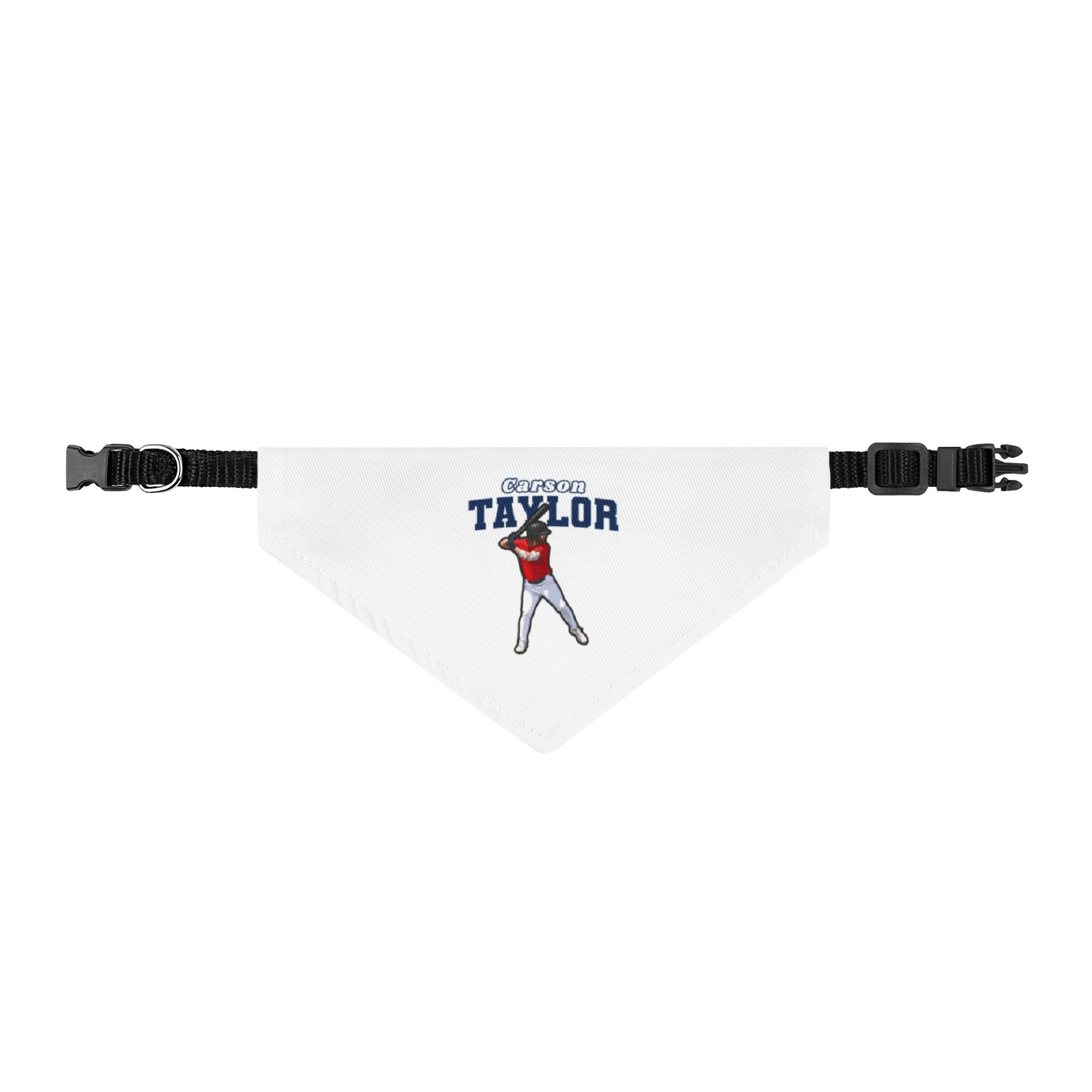 Pet Bandana — character_name_arch in Classic