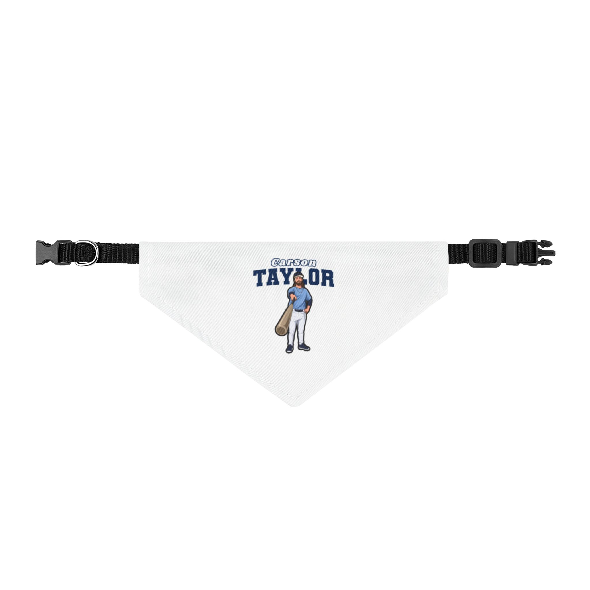 Pet Bandana — character_name_arch in Classic
