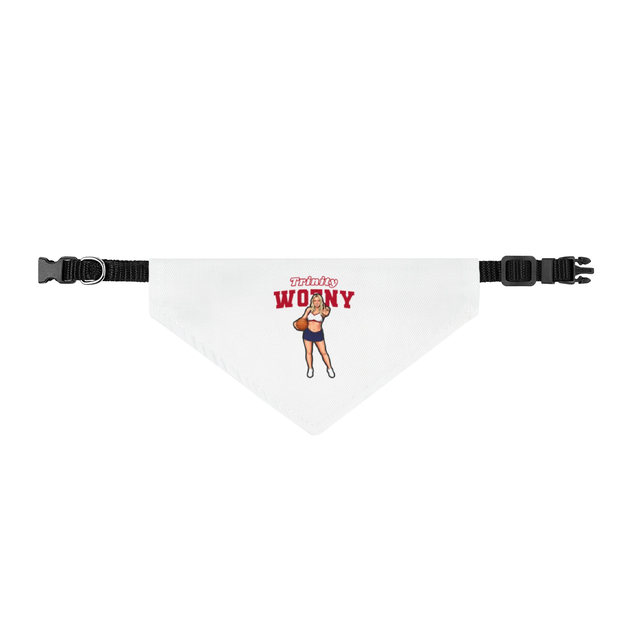 Pet Bandana — character_name_arch in Classic