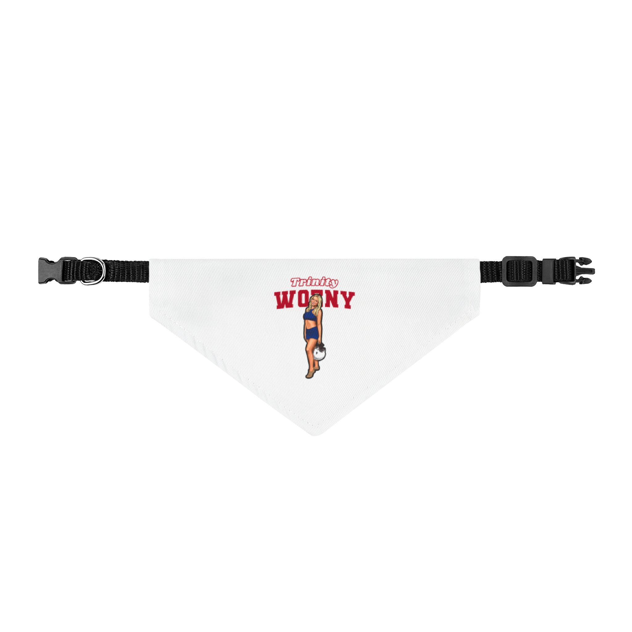 Pet Bandana — character_name_arch in Classic