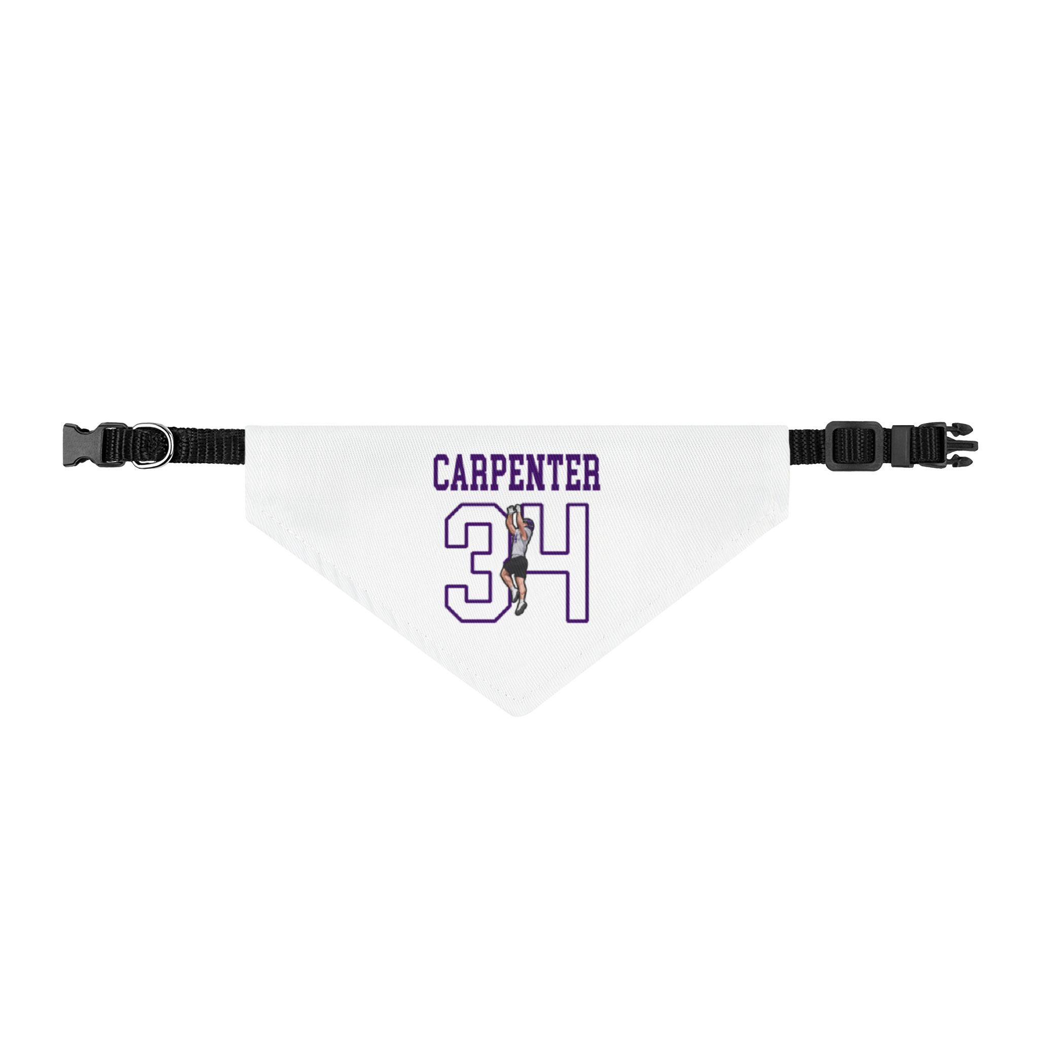 Pet Bandana — character_shirsey in Classic