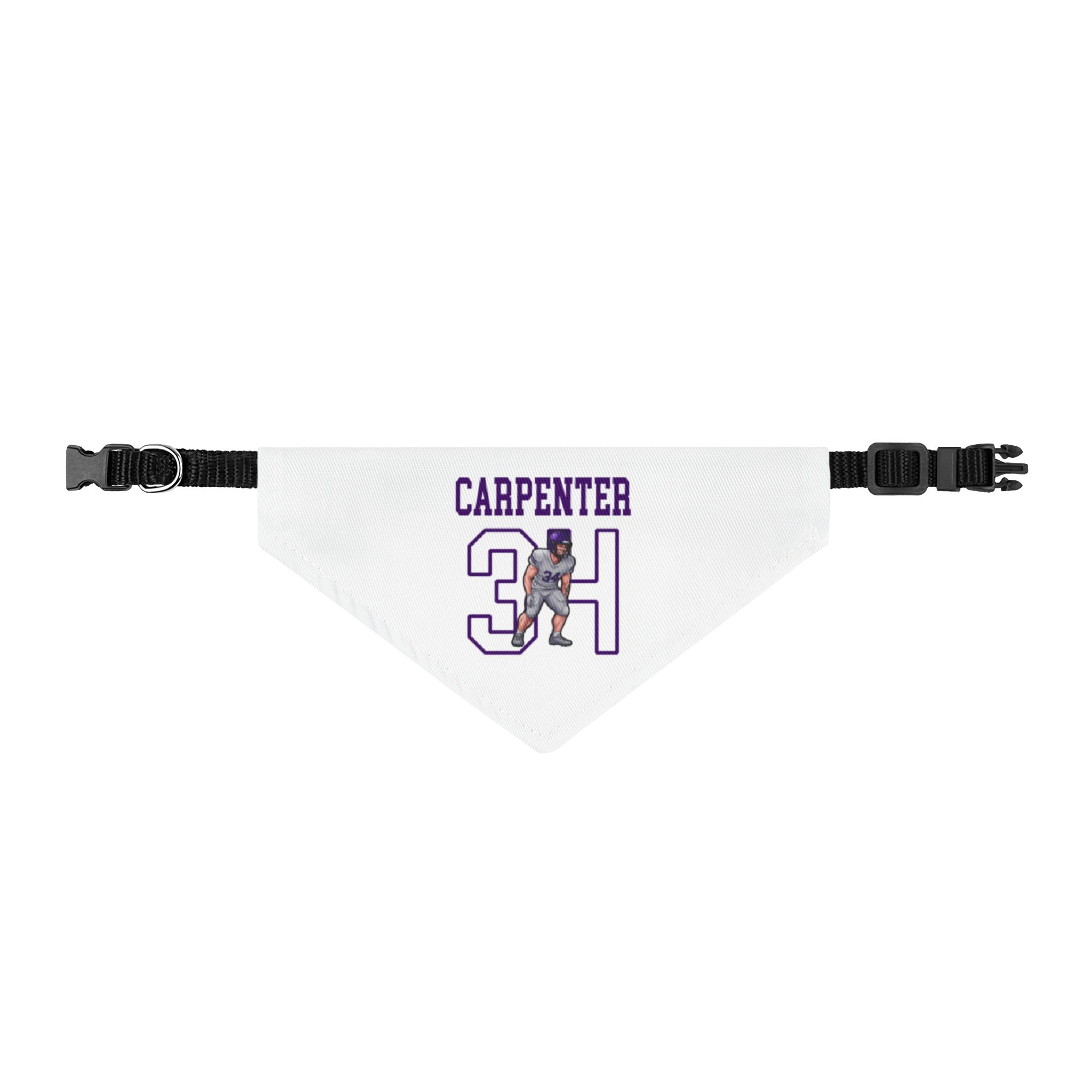 Pet Bandana — character_shirsey in Classic