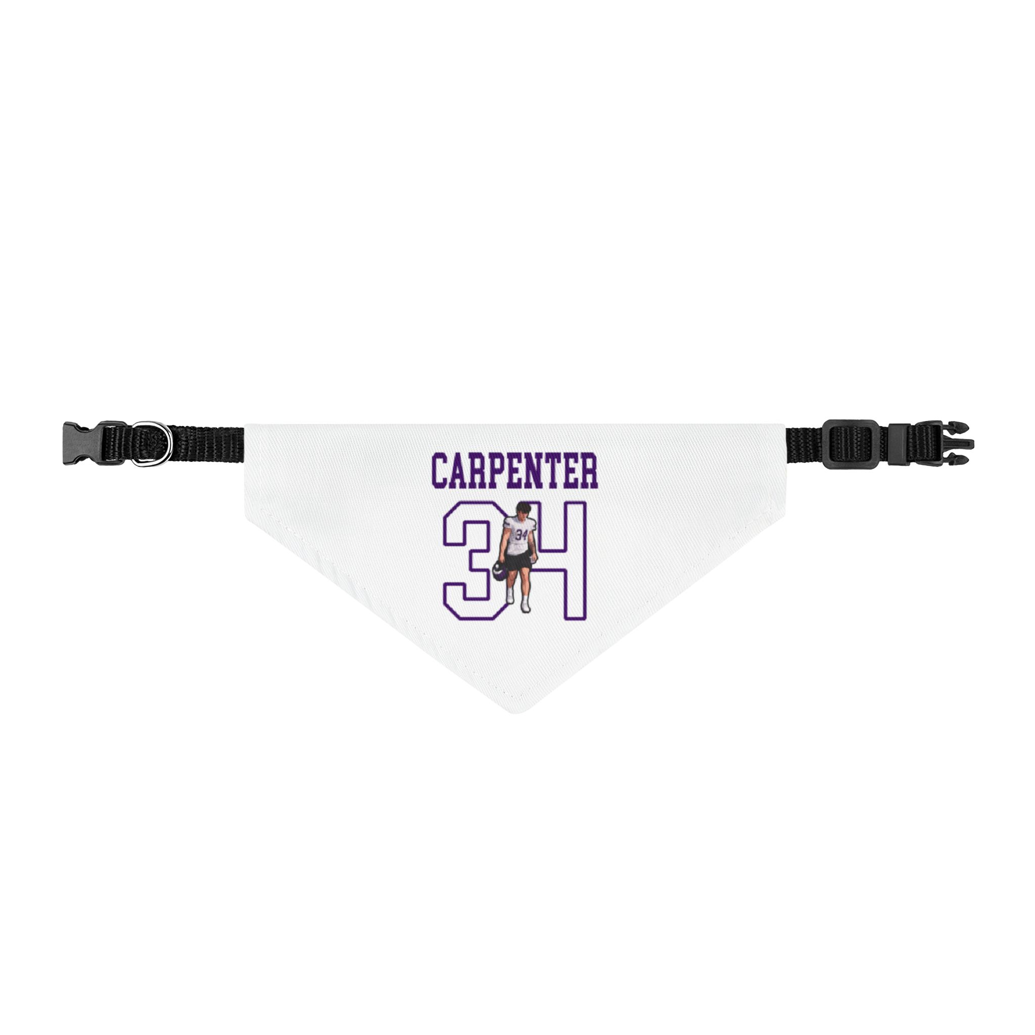 Pet Bandana — character_shirsey in Classic