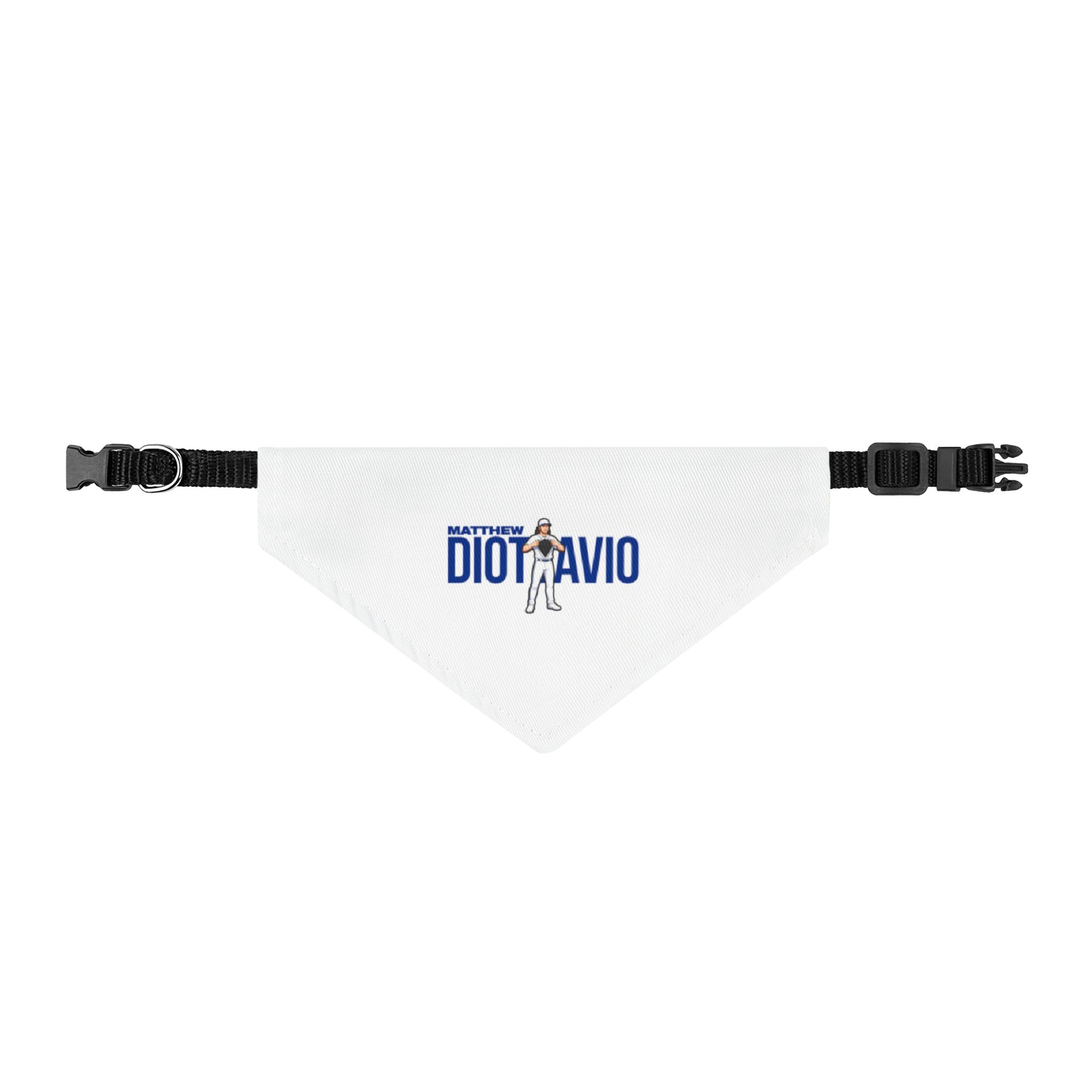 Pet Bandana — character_player_name in Classic