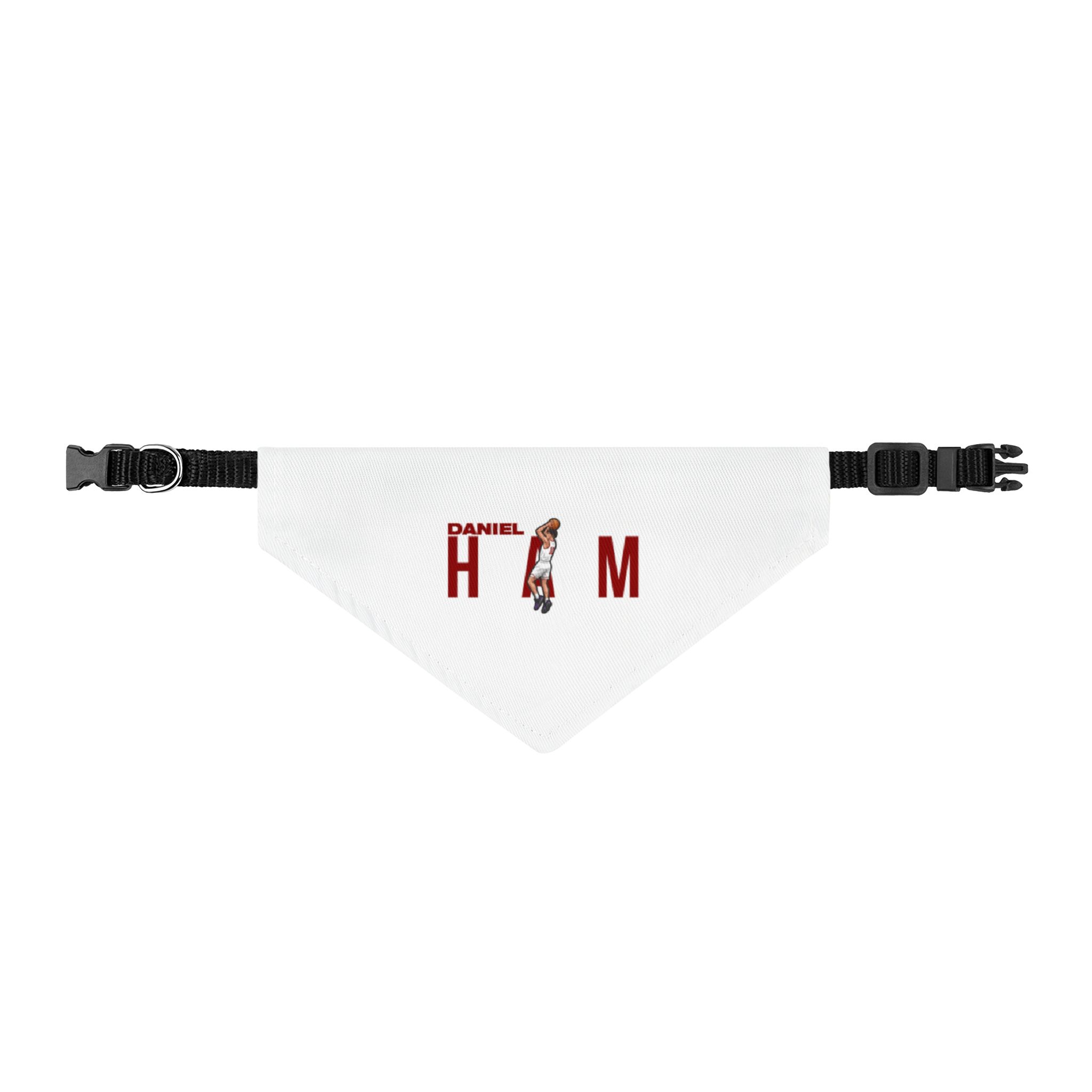 Pet Bandana — character_player_name in Classic