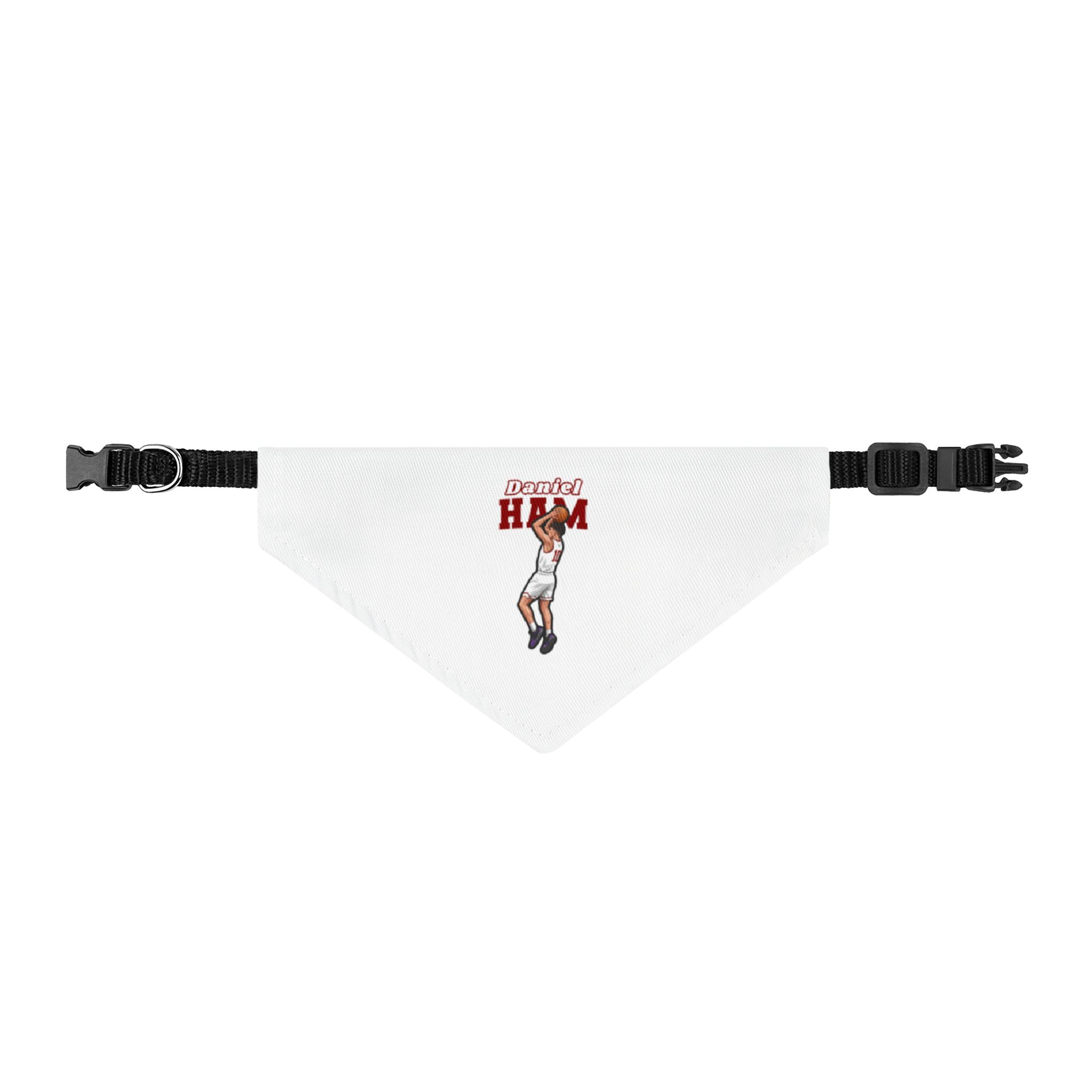 Pet Bandana — character_name_arch in Classic