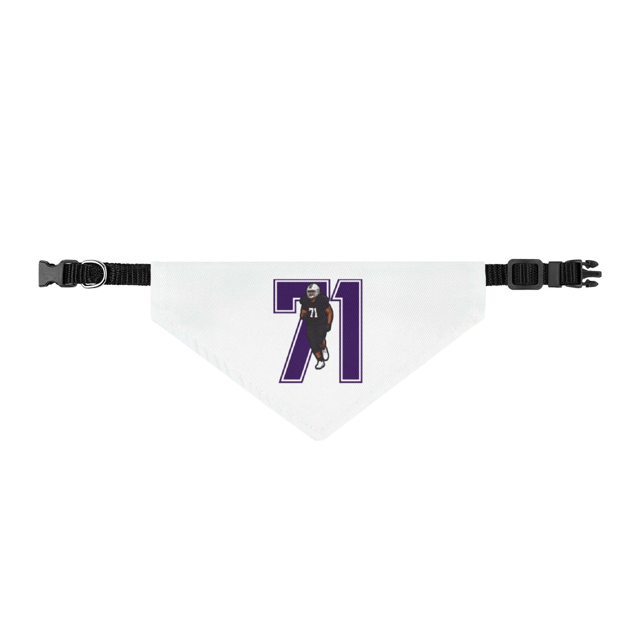 Pet Bandana — character_number in Classic