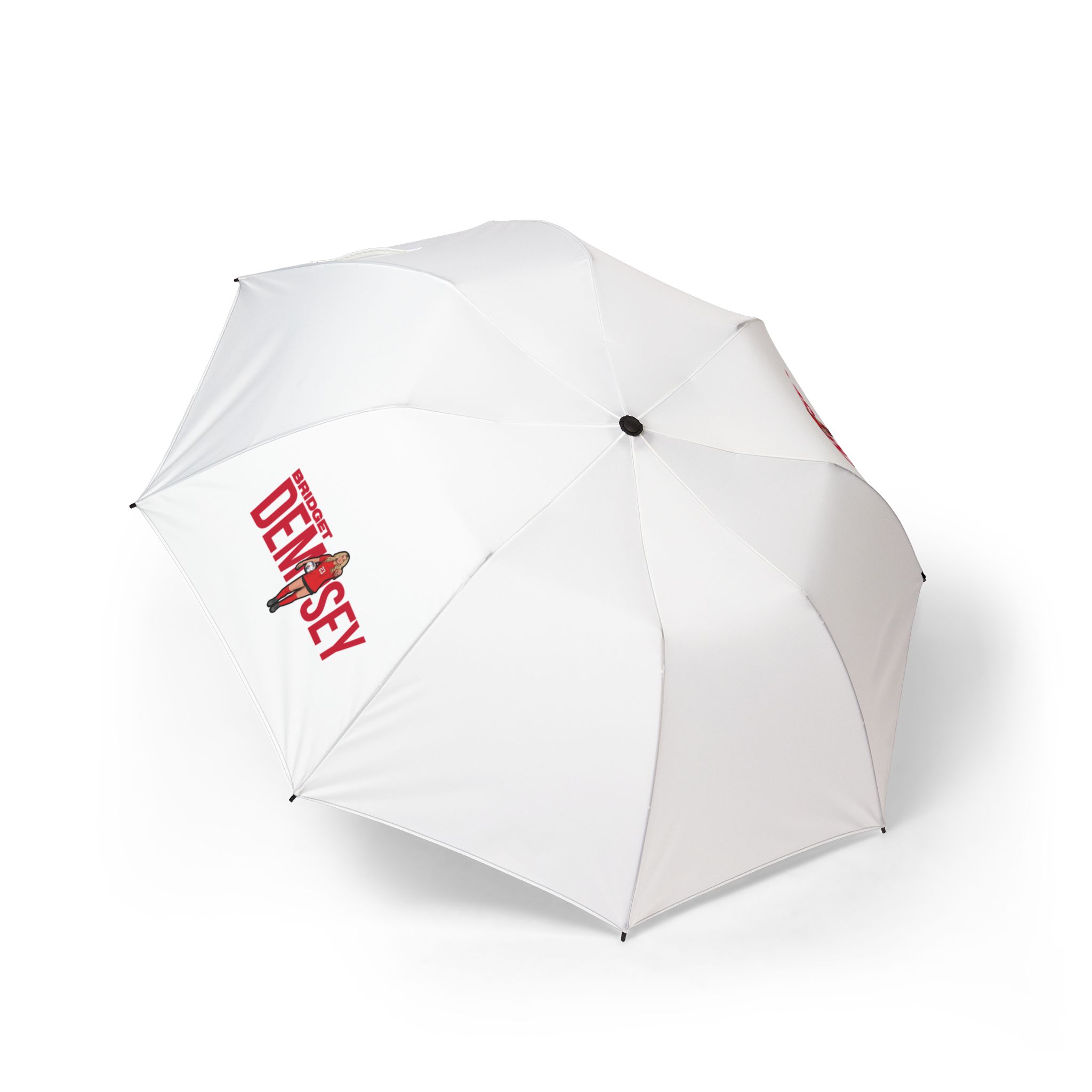 Foldable Umbrella — character_player_name in Classic
