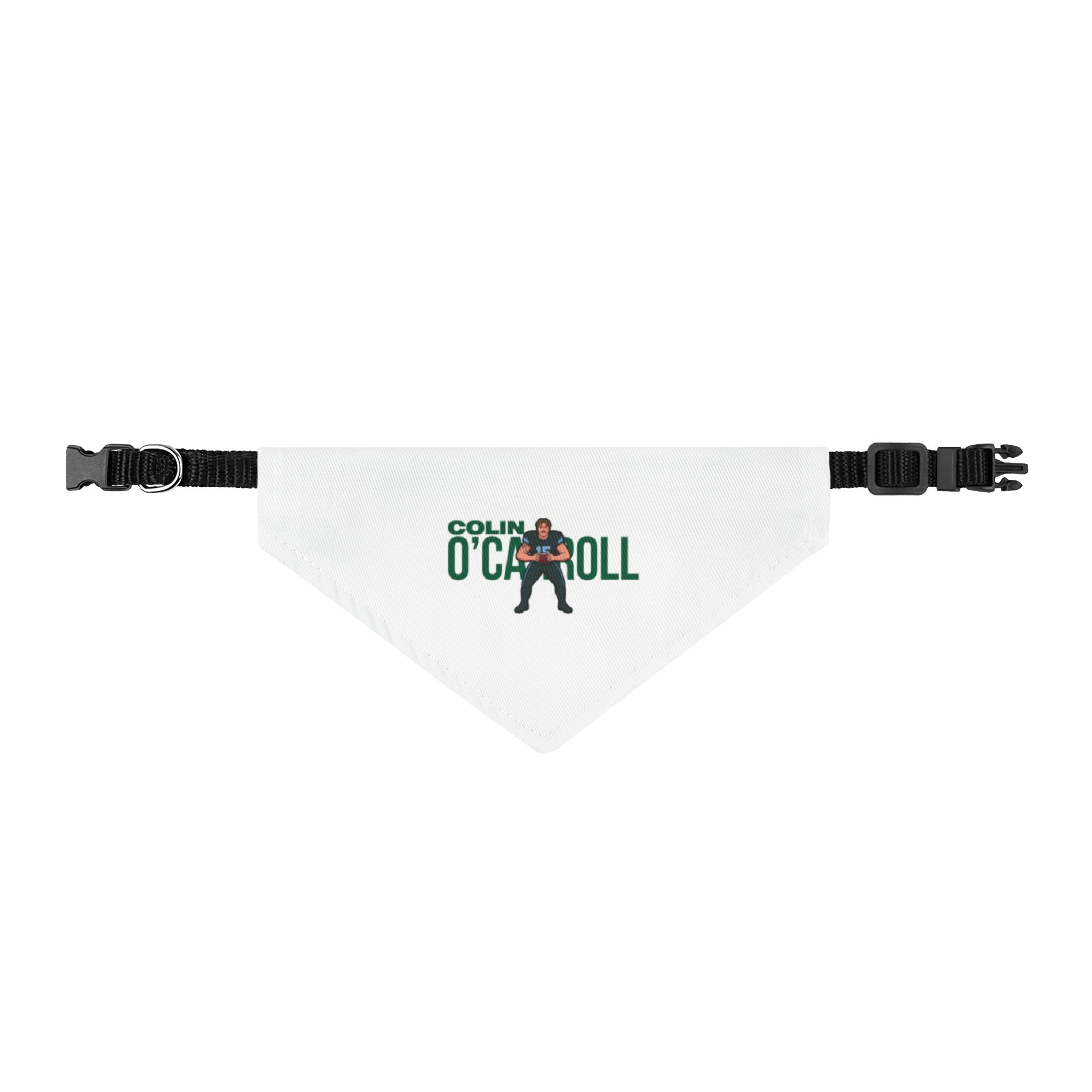 Pet Bandana — character_player_name in Classic