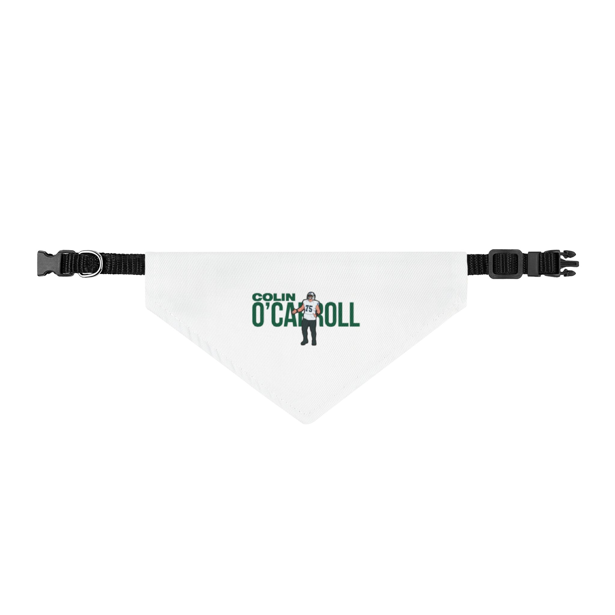 Pet Bandana — character_player_name in Classic