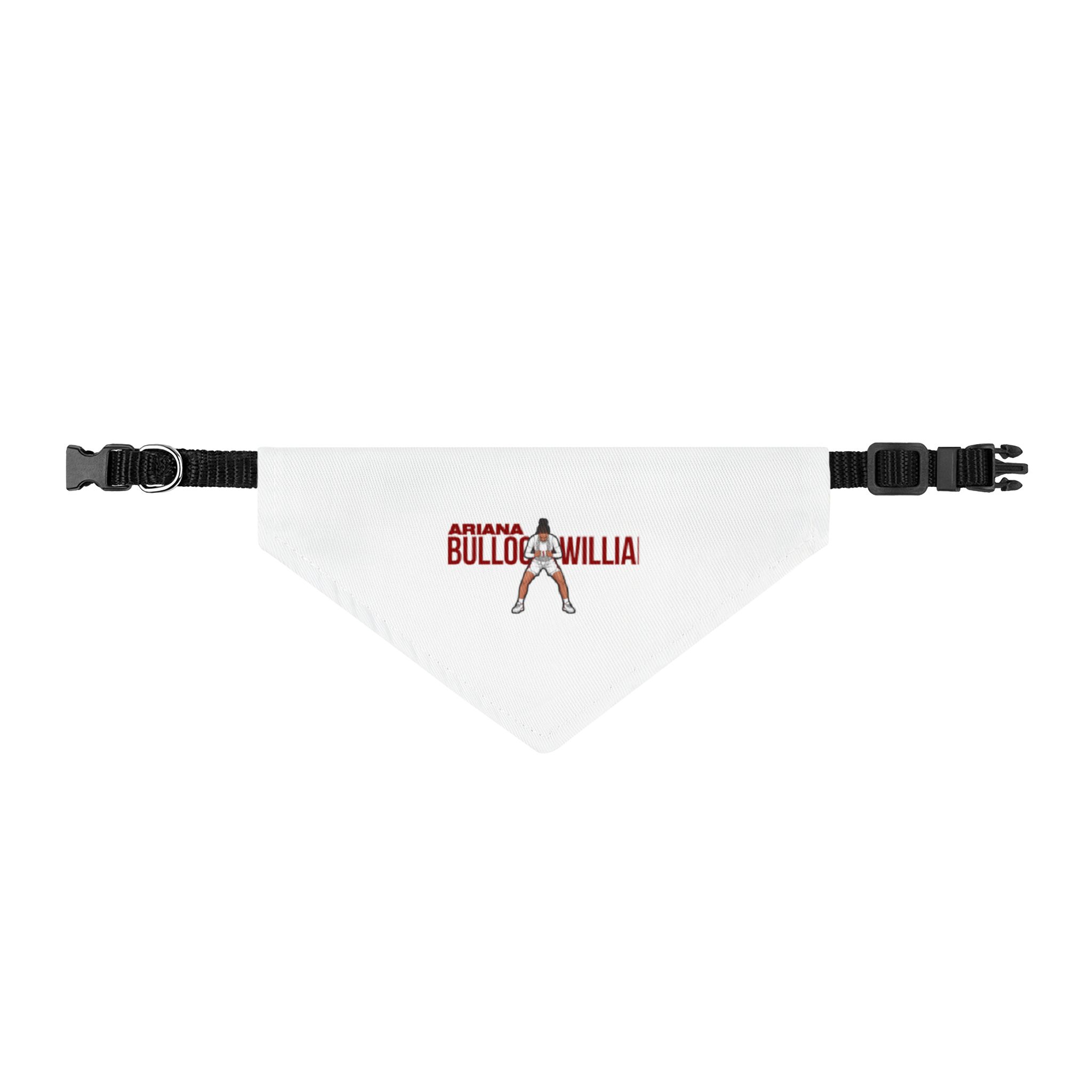 Pet Bandana — character_player_name in Classic
