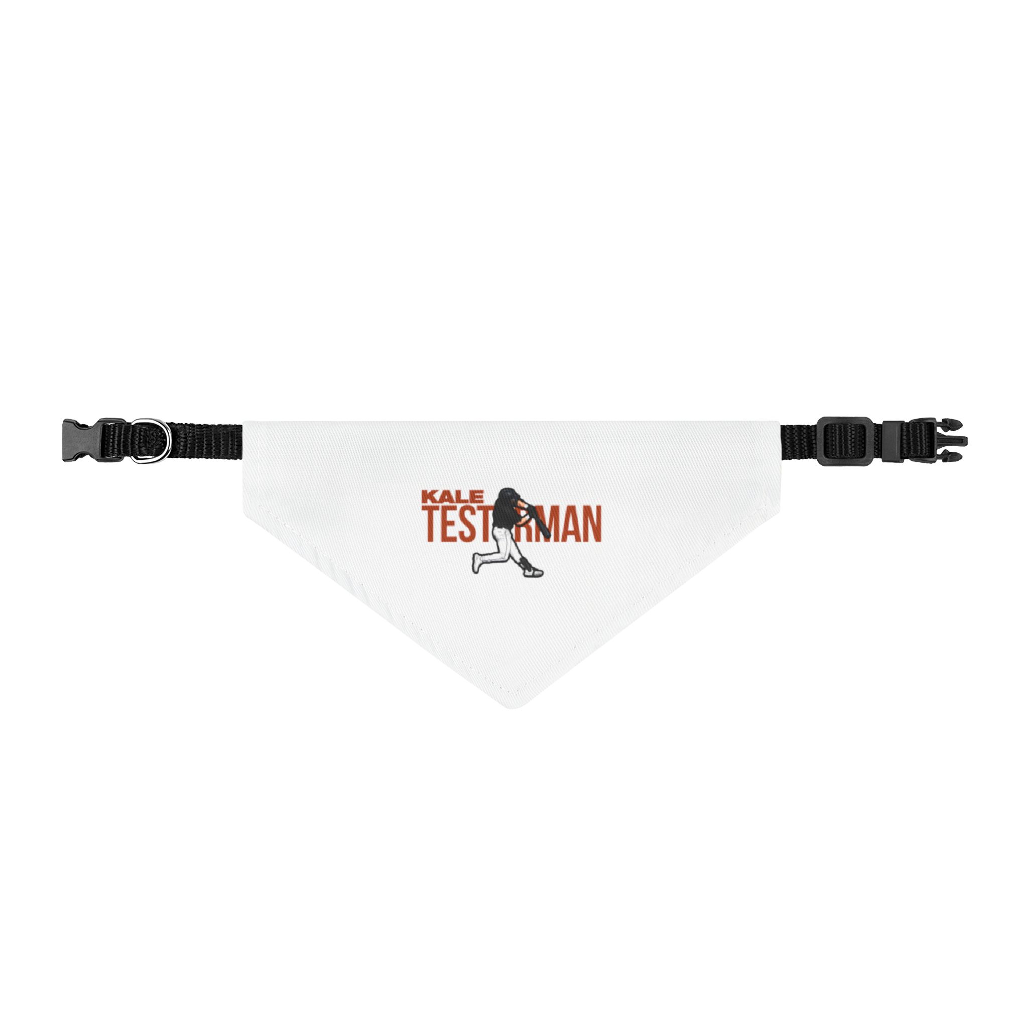 Pet Bandana — character_player_name in Classic
