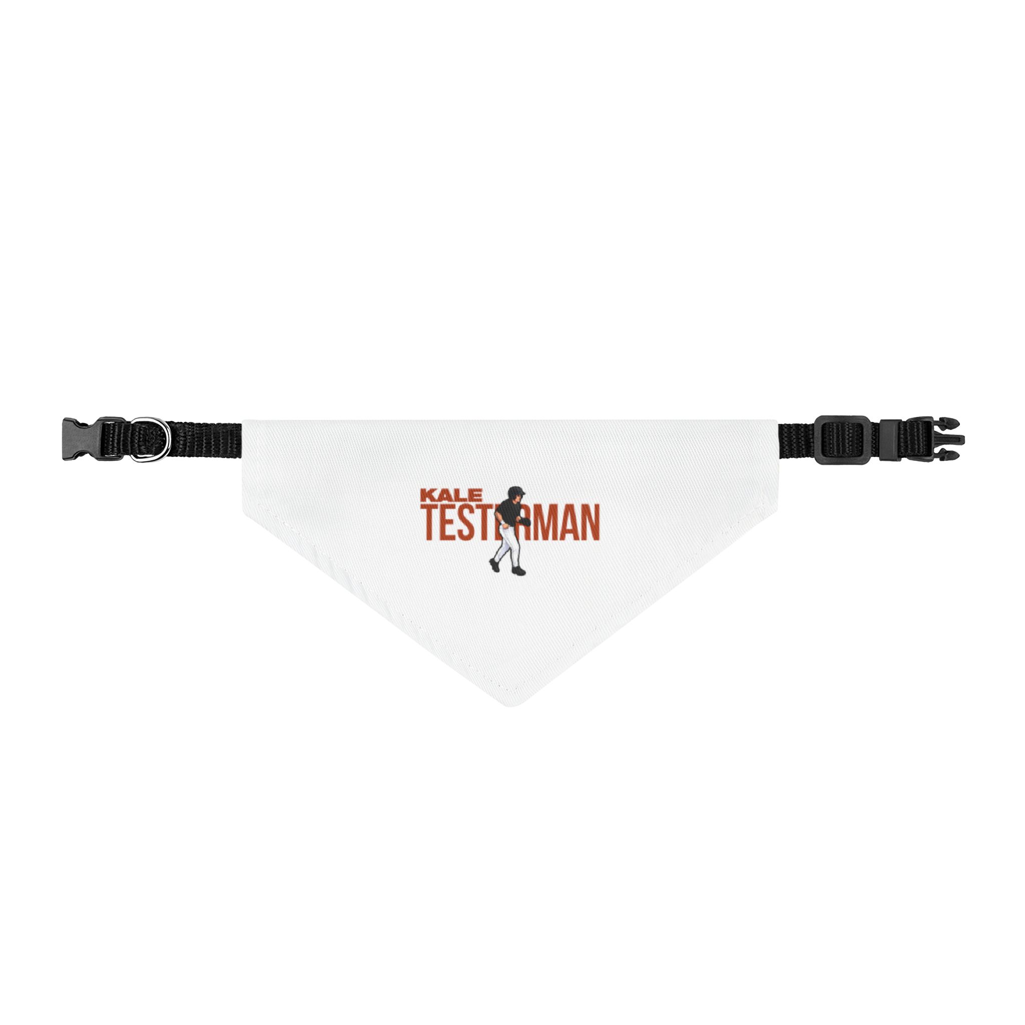Pet Bandana — character_player_name in Classic