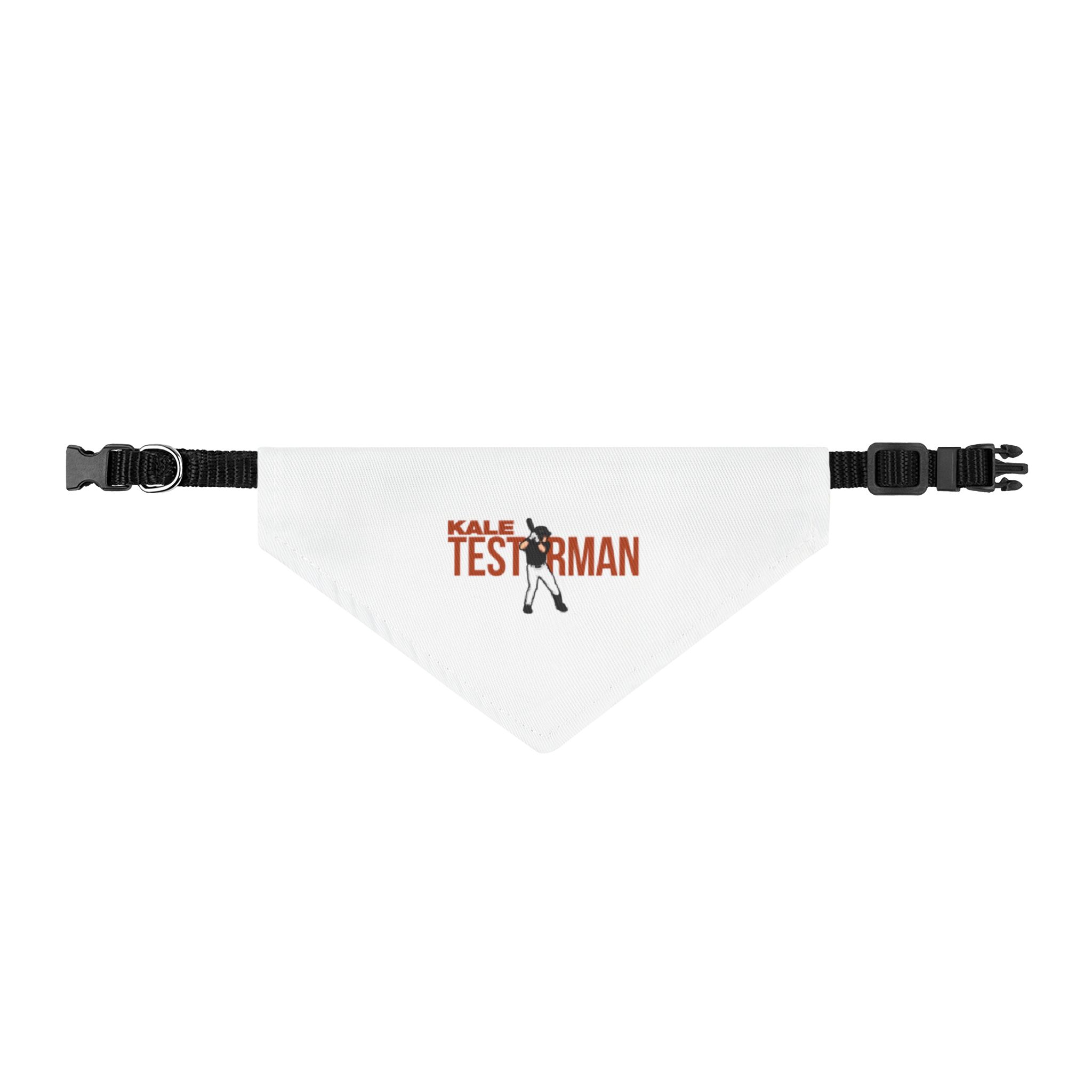 Pet Bandana — character_player_name in Classic