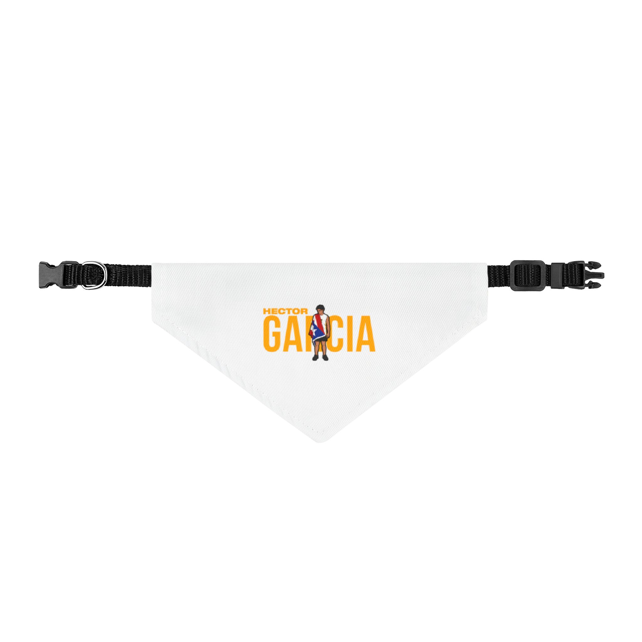 Pet Bandana — character_player_name in Classic