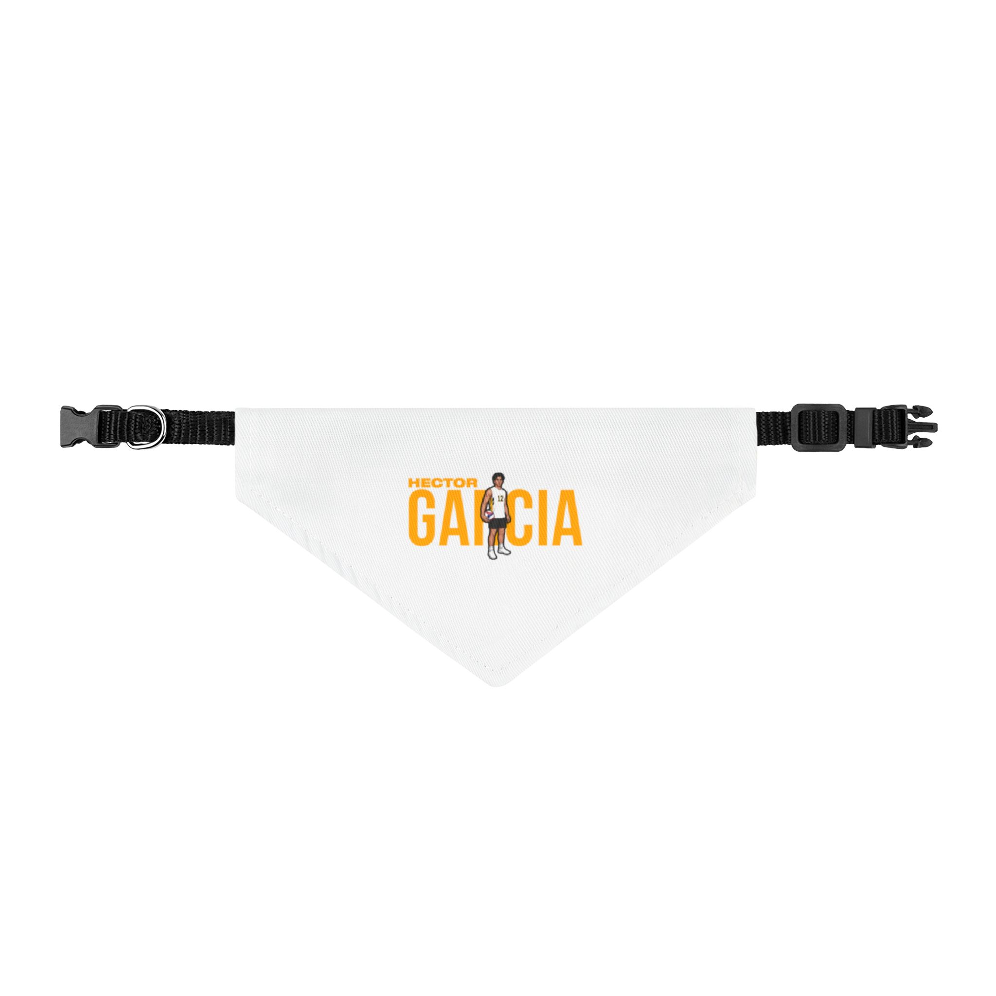 Pet Bandana — character_player_name in Classic