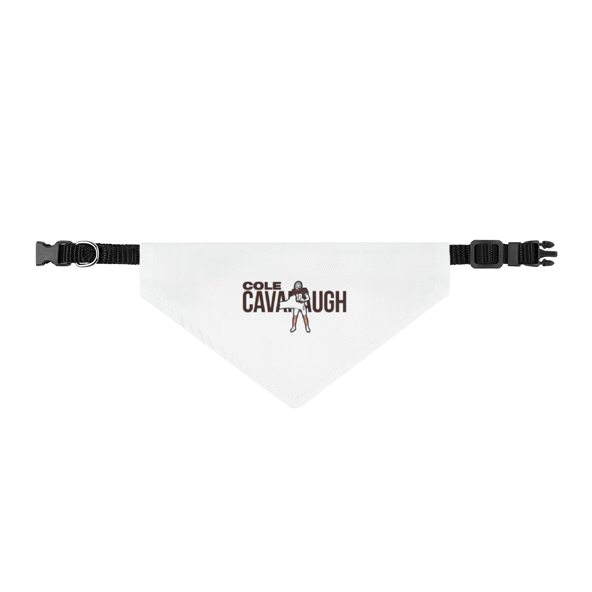 Pet Bandana — character_player_name in Classic