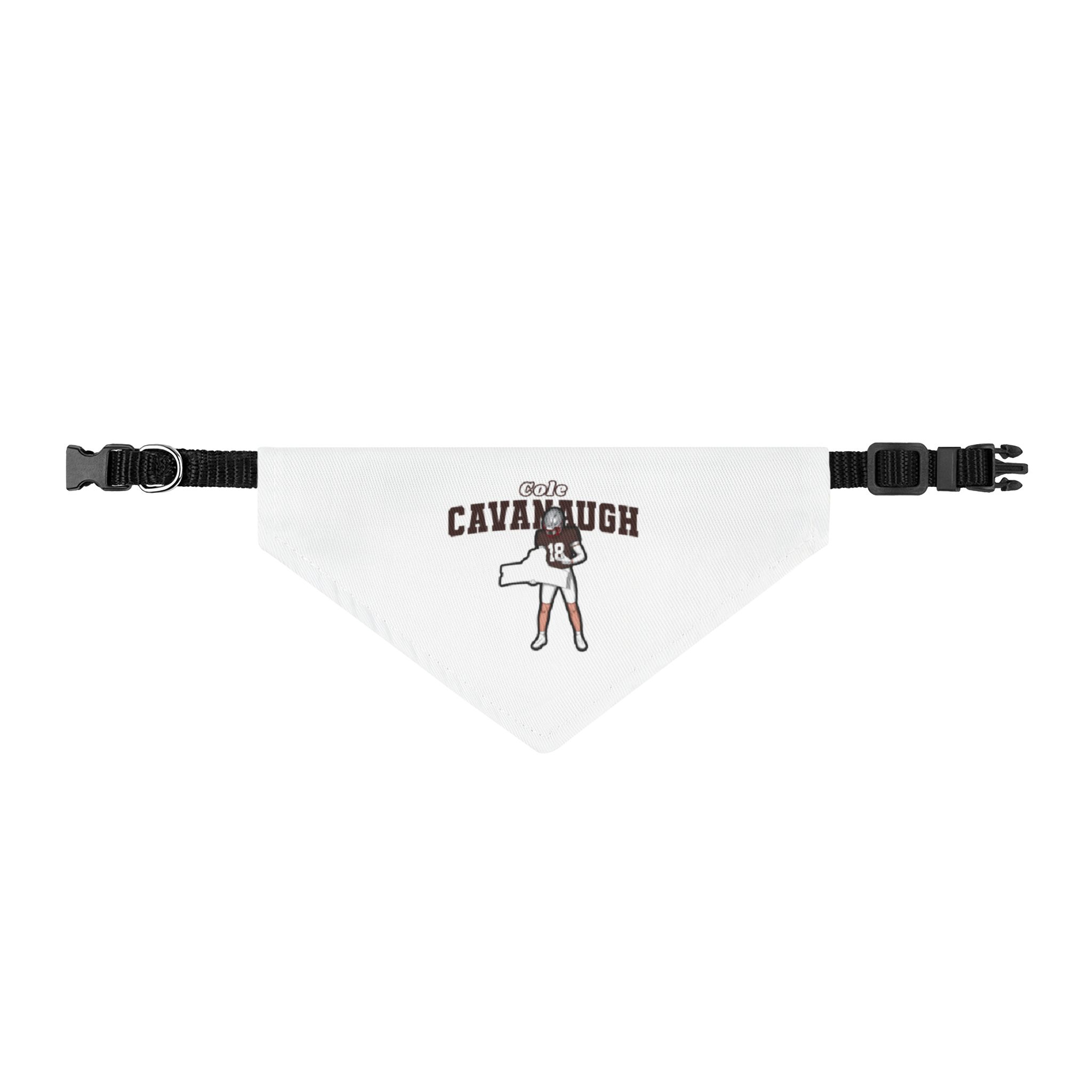 Pet Bandana — character_name_arch in Classic