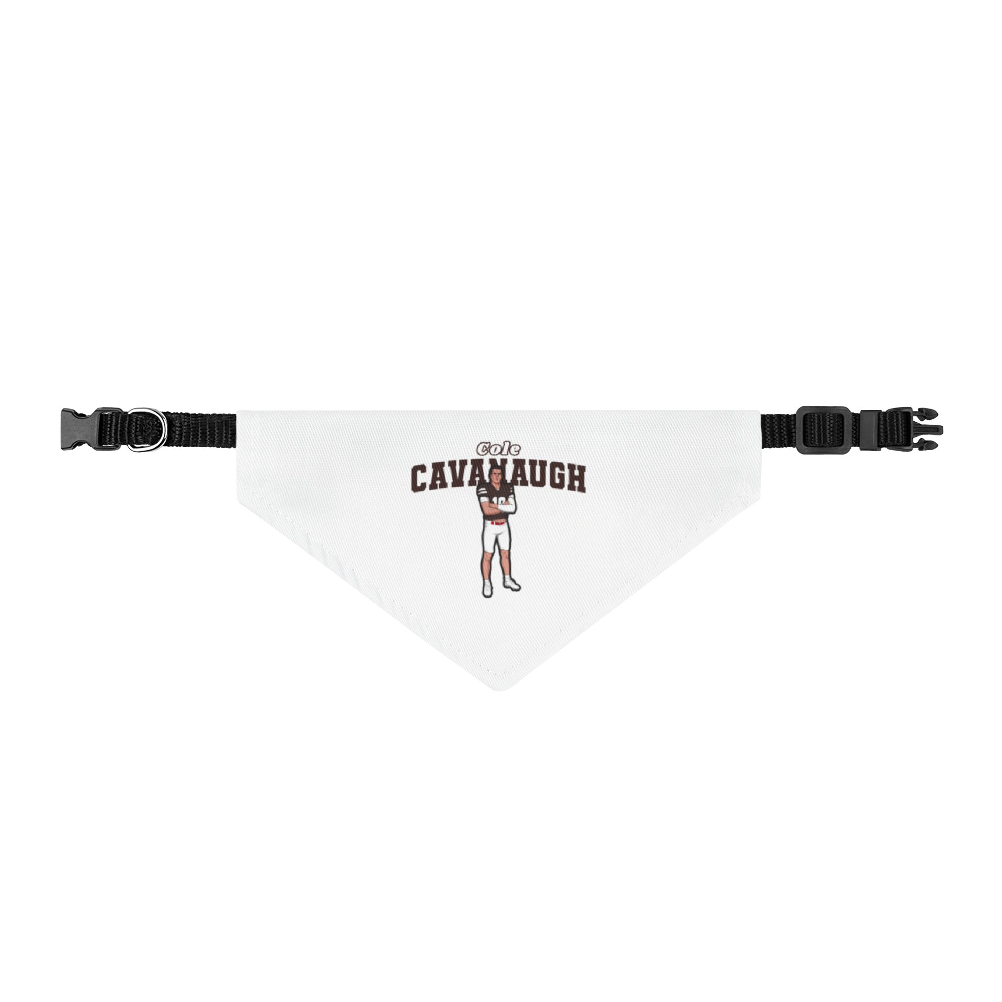 Pet Bandana — character_name_arch in Classic