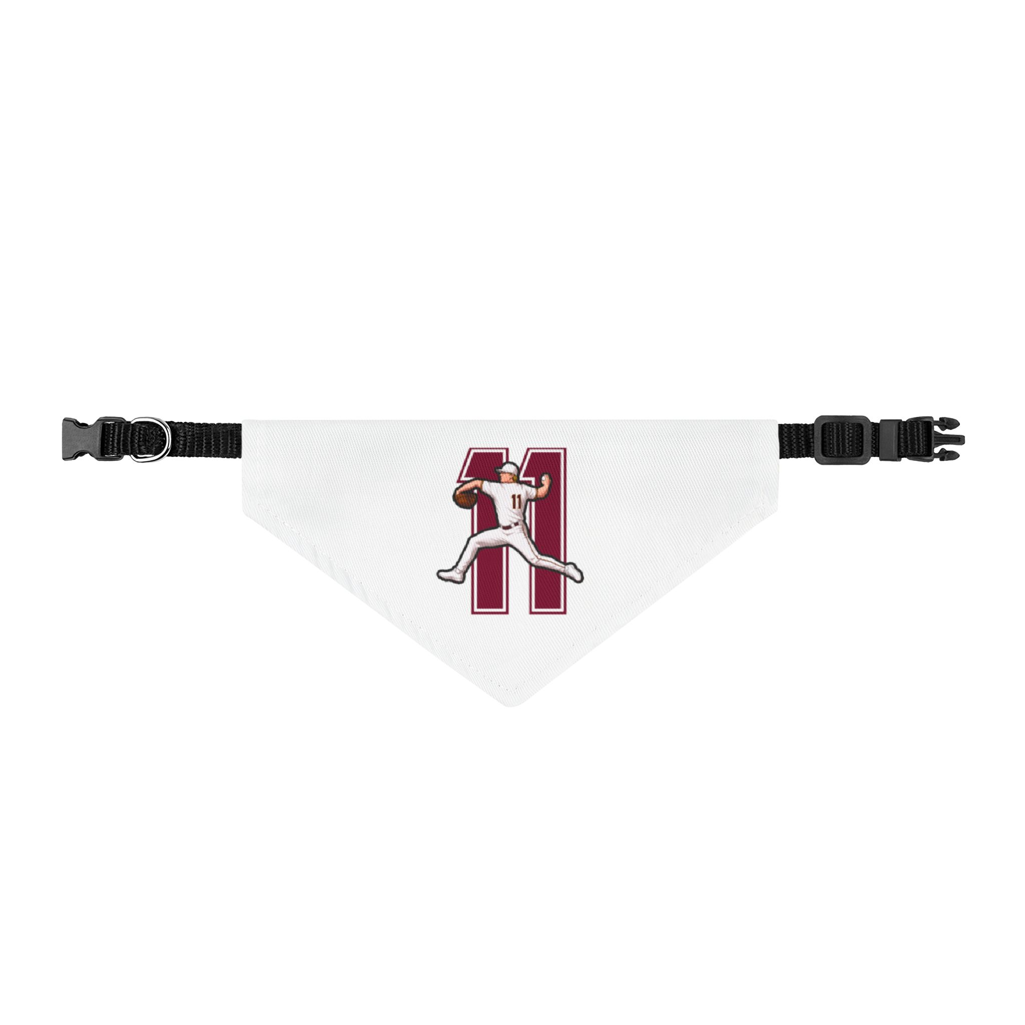 Pet Bandana — character_number in Classic