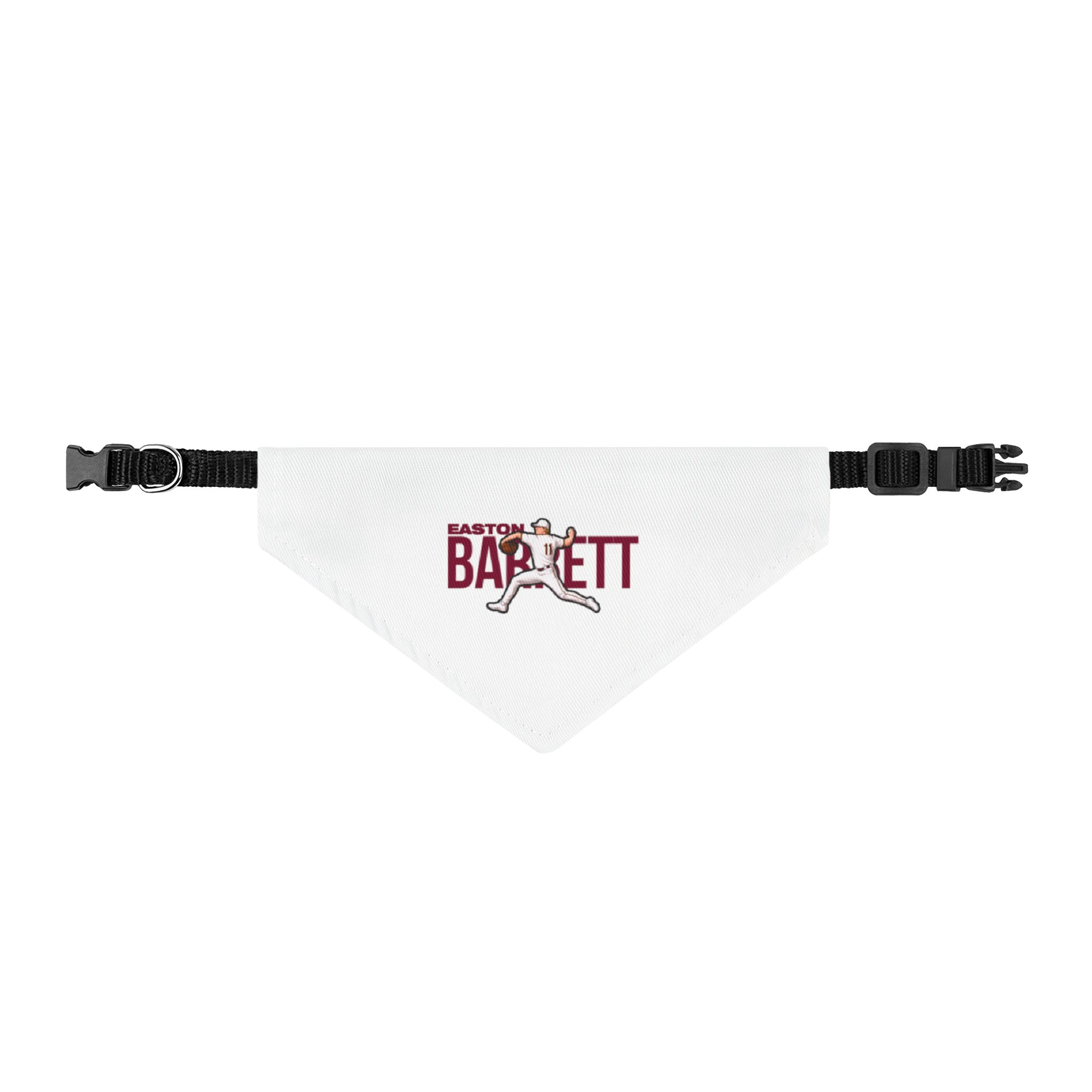 Pet Bandana — character_player_name in Classic