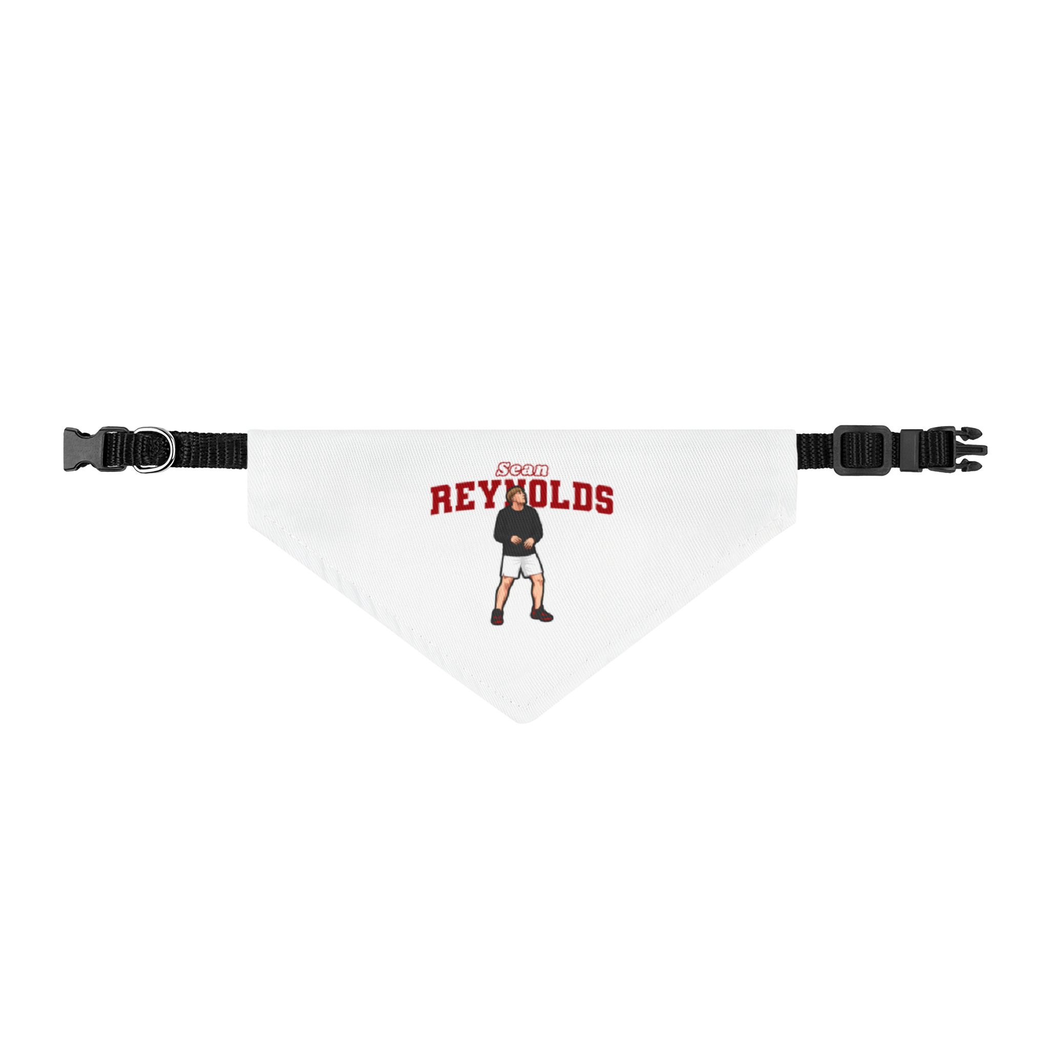Pet Bandana — character_name_arch in Classic