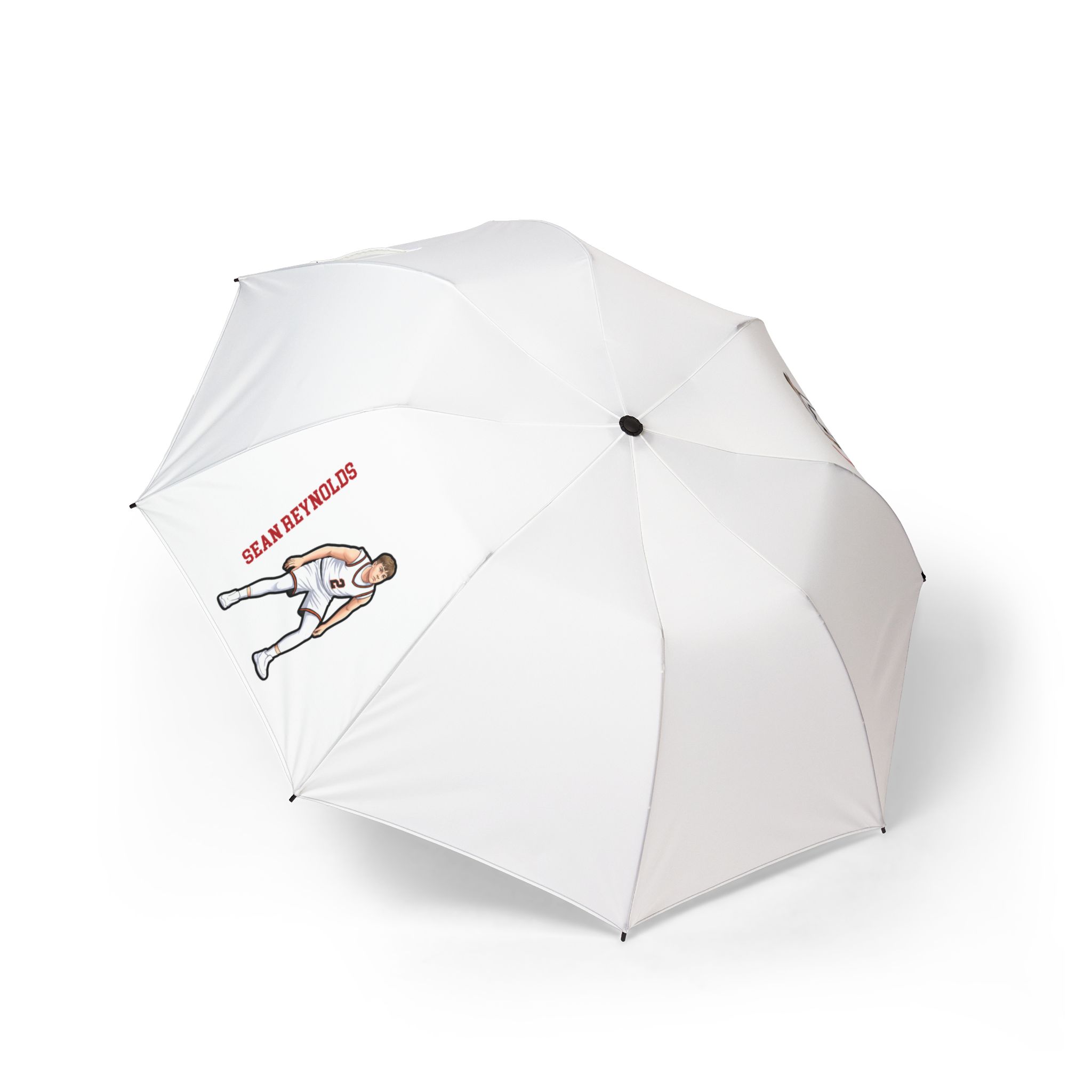 Foldable Umbrella — character_name_vertical in Classic
