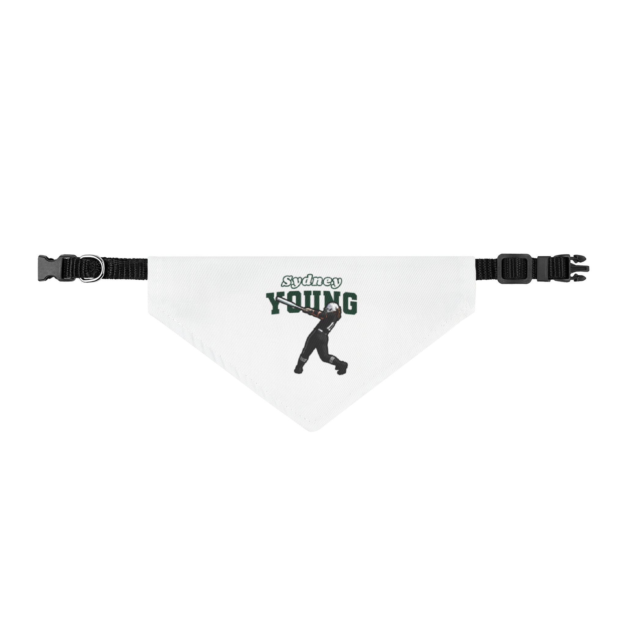 Pet Bandana — character_name_arch in Classic