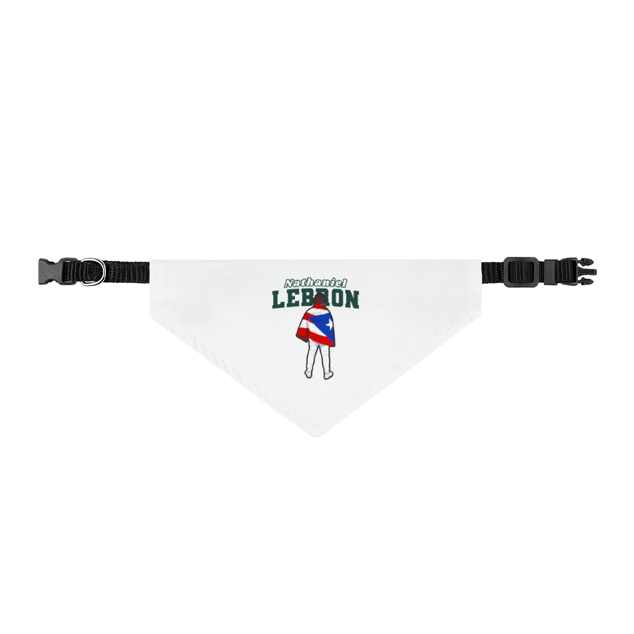 Pet Bandana — character_name_arch in Classic