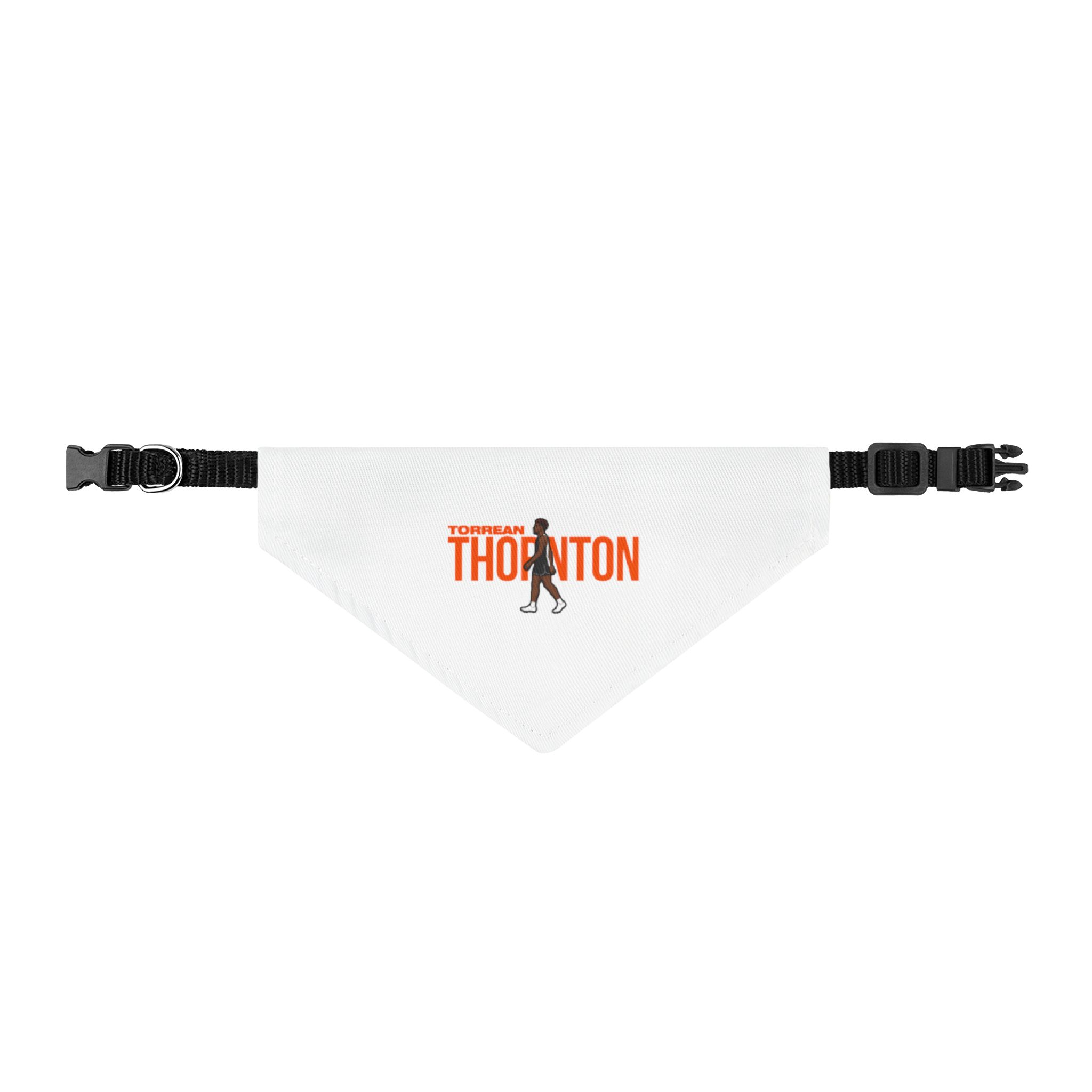 Pet Bandana — character_player_name in Classic