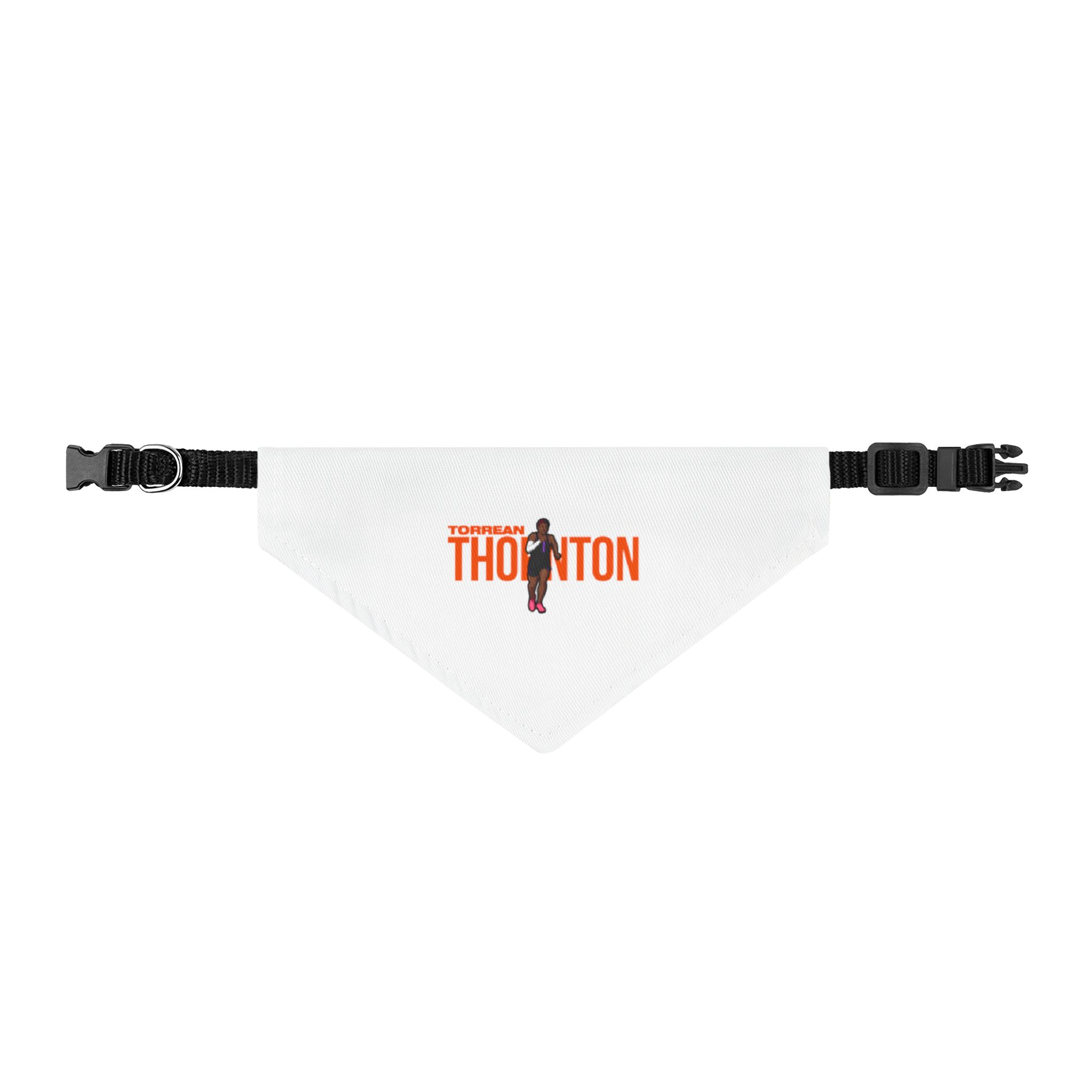 Pet Bandana — character_player_name in Classic