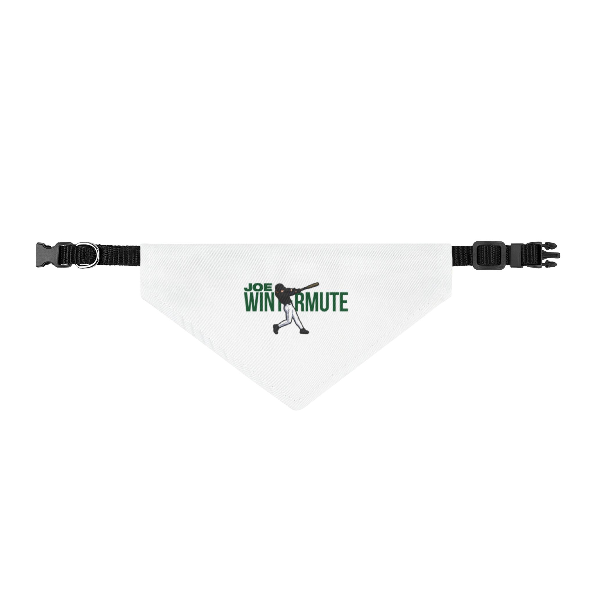 Pet Bandana — character_player_name in Classic