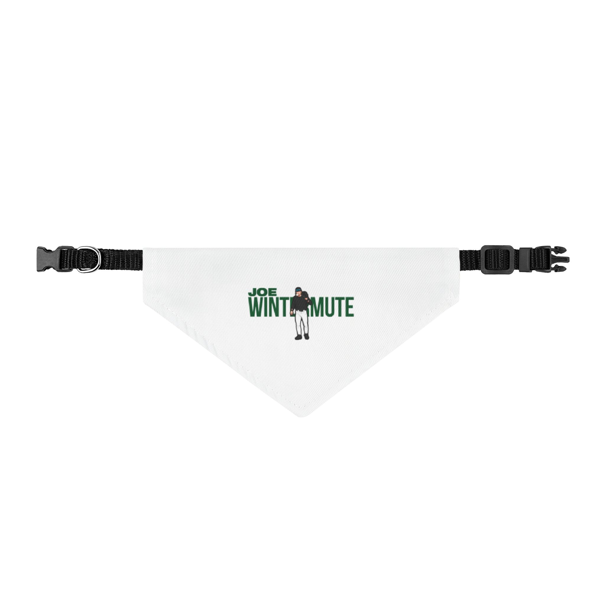 Pet Bandana — character_player_name in Classic
