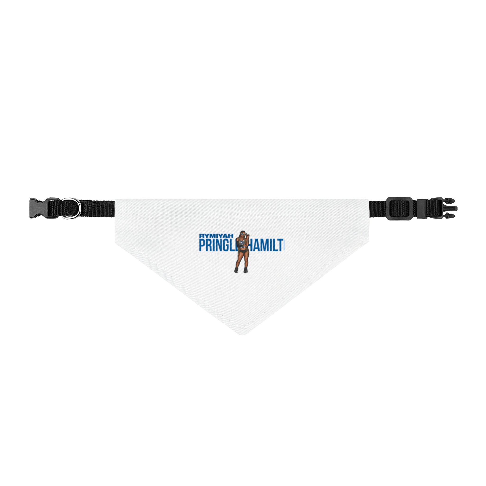 Pet Bandana — character_player_name in Classic